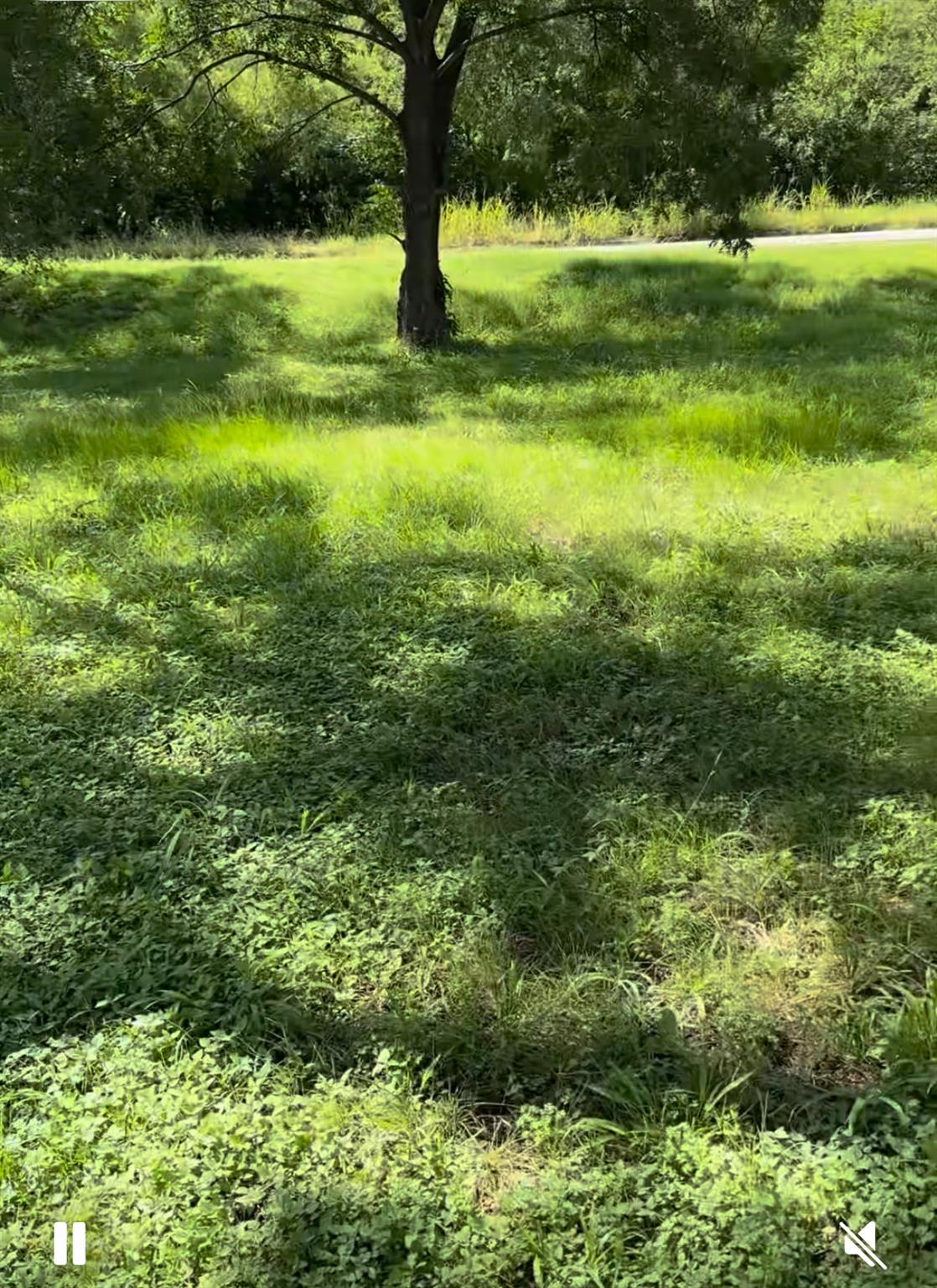 10002 Highway Fm 969 Rd, Austin, TX 78724