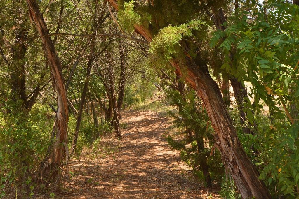 2408 Claret Cv # 110, Austin, TX 78748