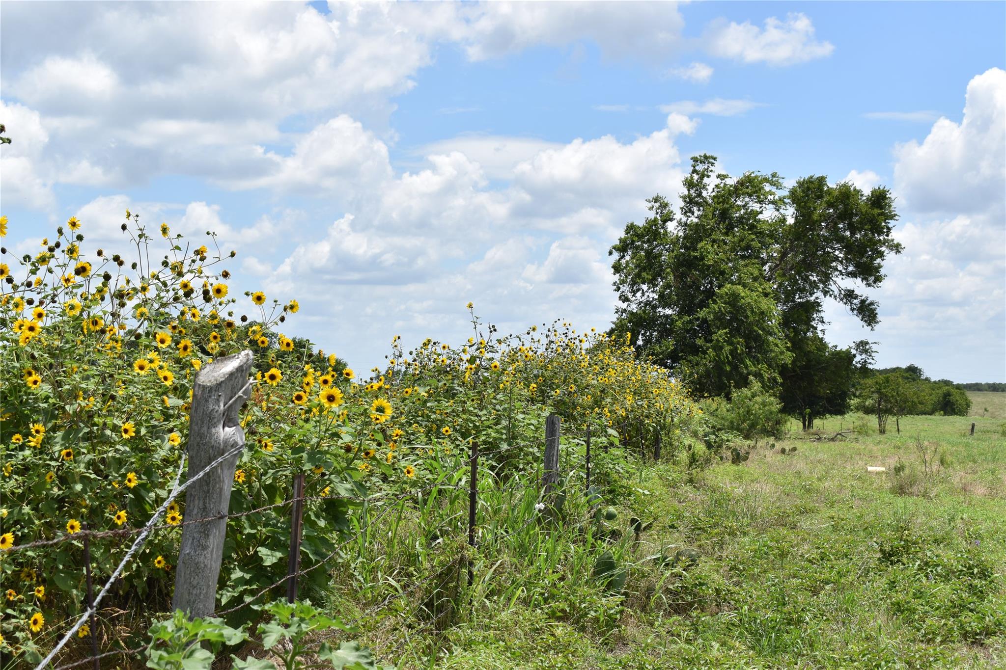 TBD County Road 109, Buckholts, TX 76518