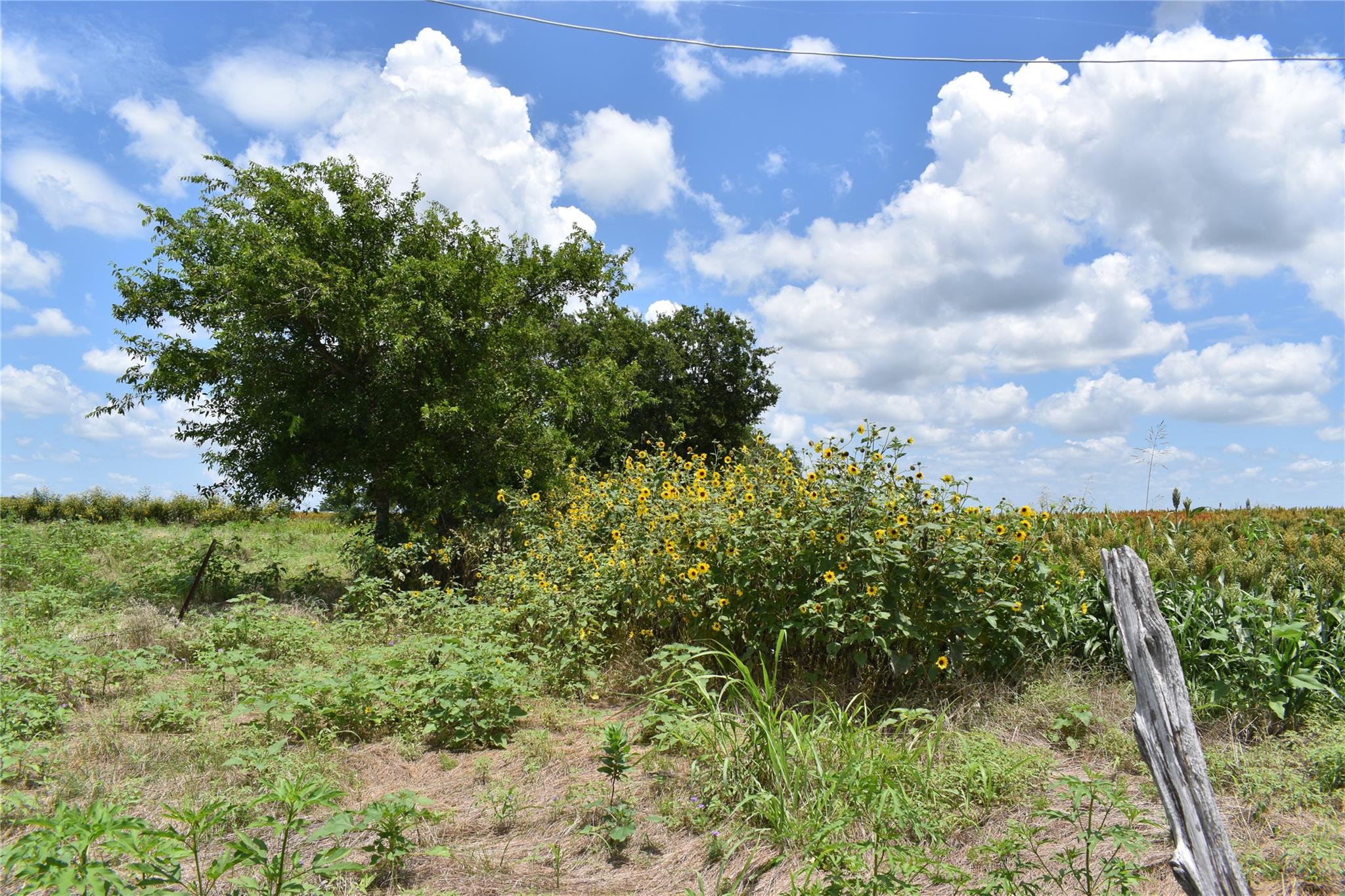 TBD County Road 109, Buckholts, TX 76518