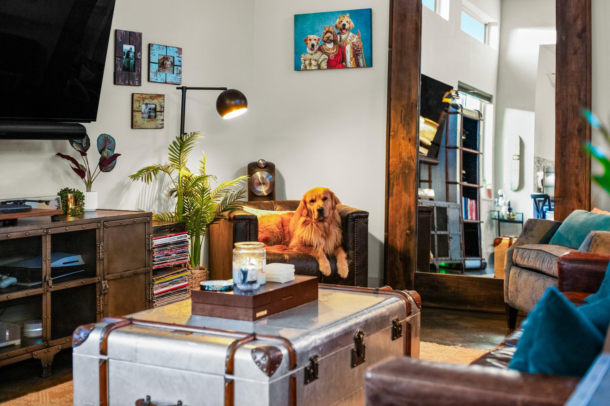 3005 E Martin Luther King Jr Blvd, Austin, TX 78702