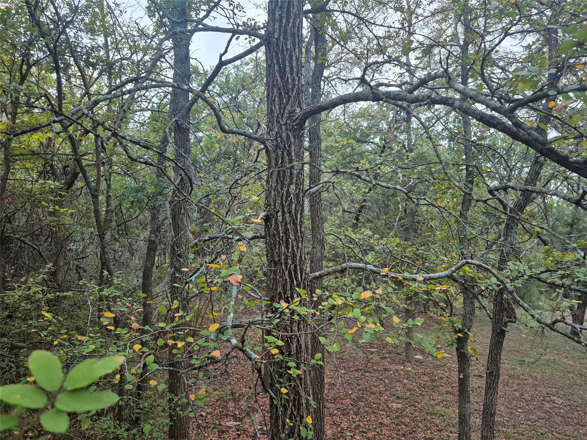 4614 Arrowhead Dr, Temple, TX 76502