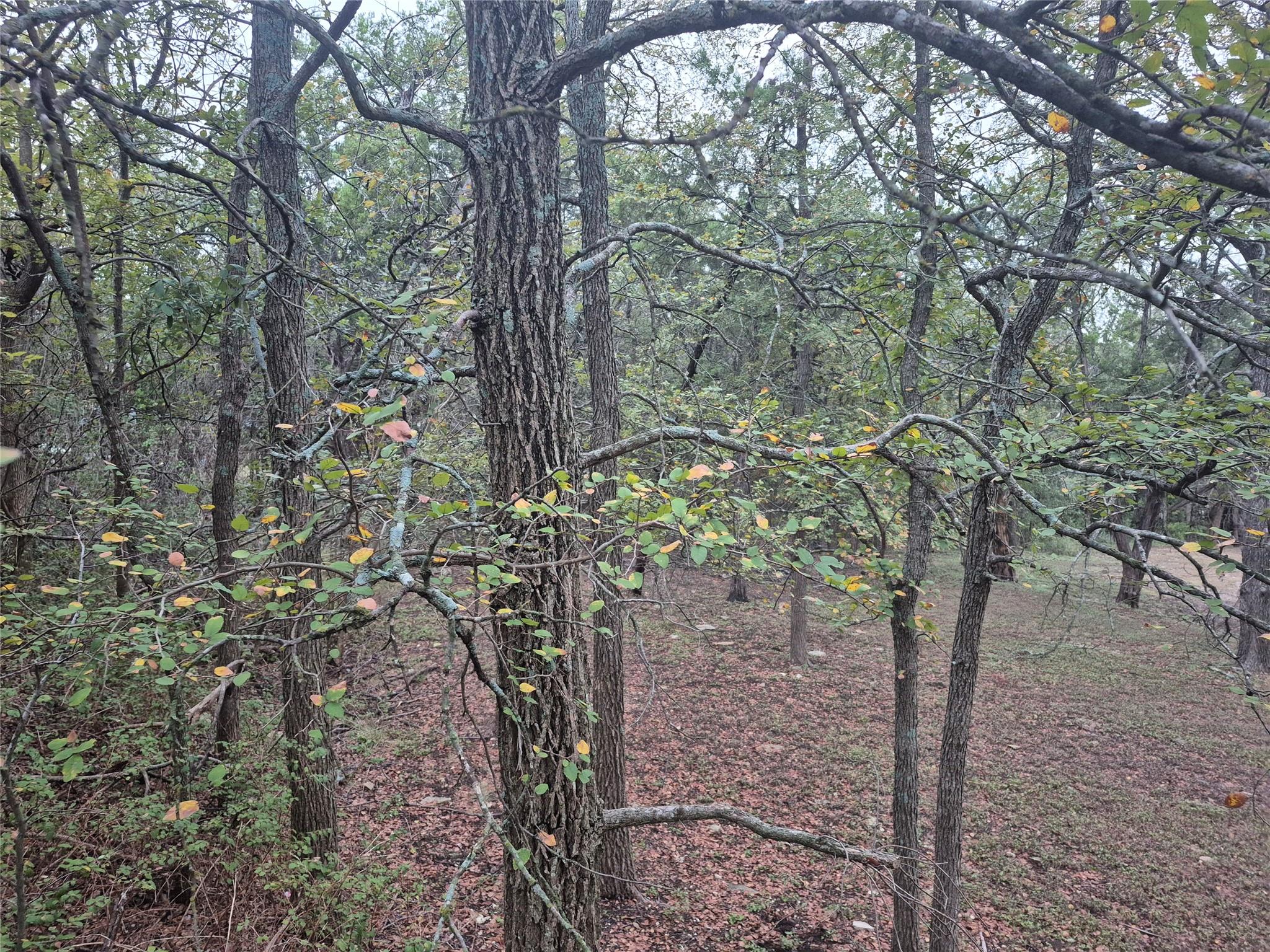 4614 Arrowhead Dr, Temple, TX 76502