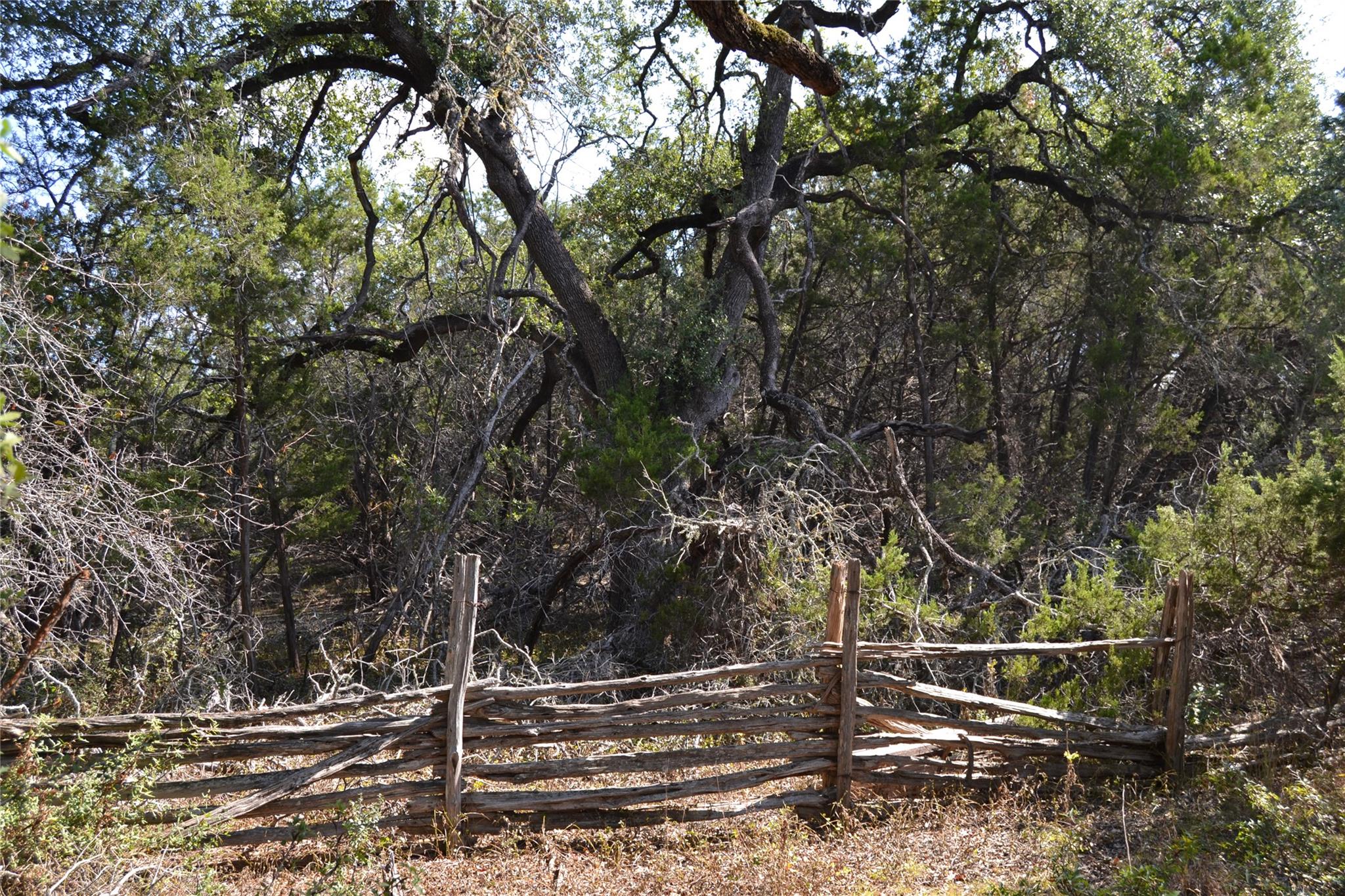 8409 Appaloosa Run, Austin, TX 78737