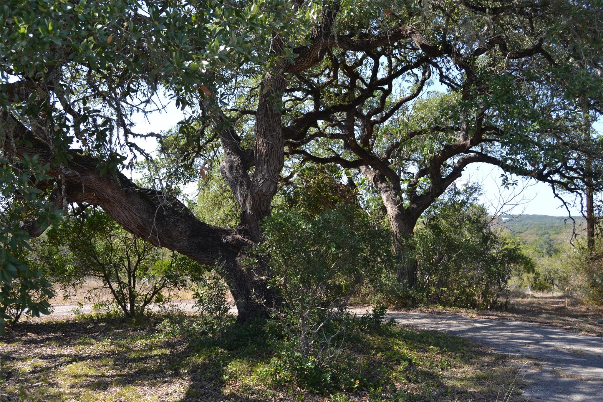 8409 Appaloosa Run, Austin, TX 78737