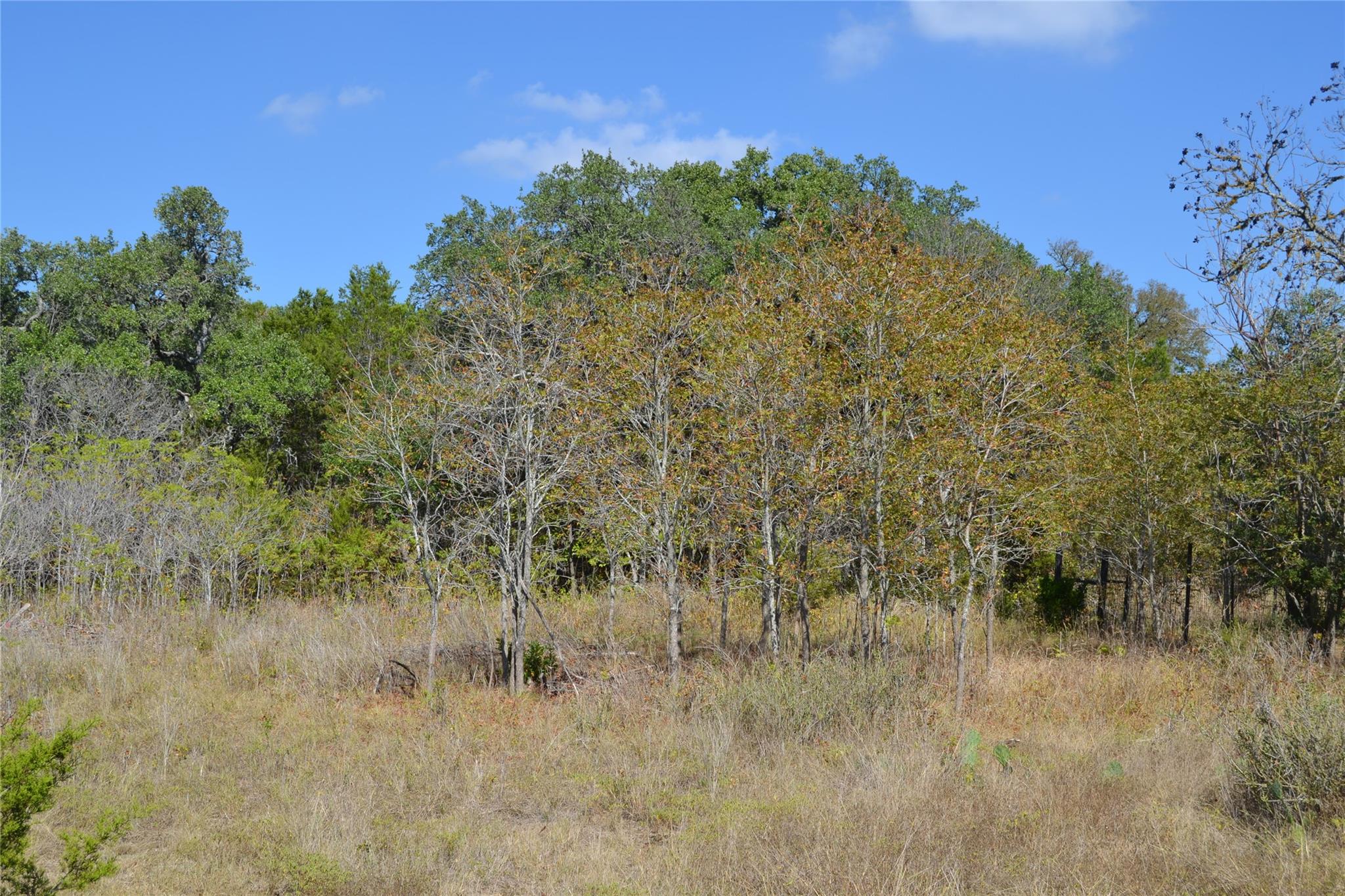 8409 Appaloosa Run, Austin, TX 78737