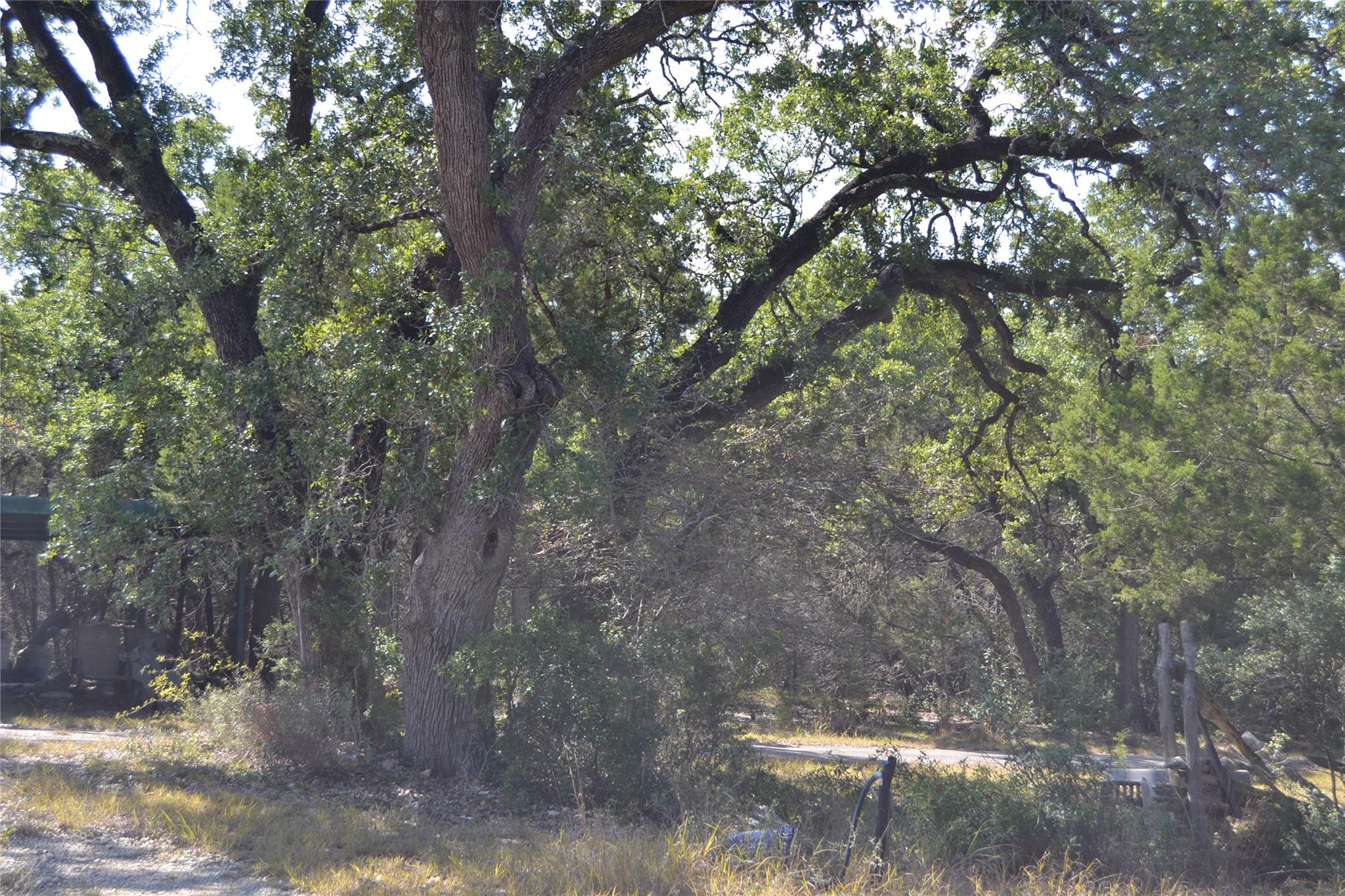 8409 Appaloosa Run, Austin, TX 78737