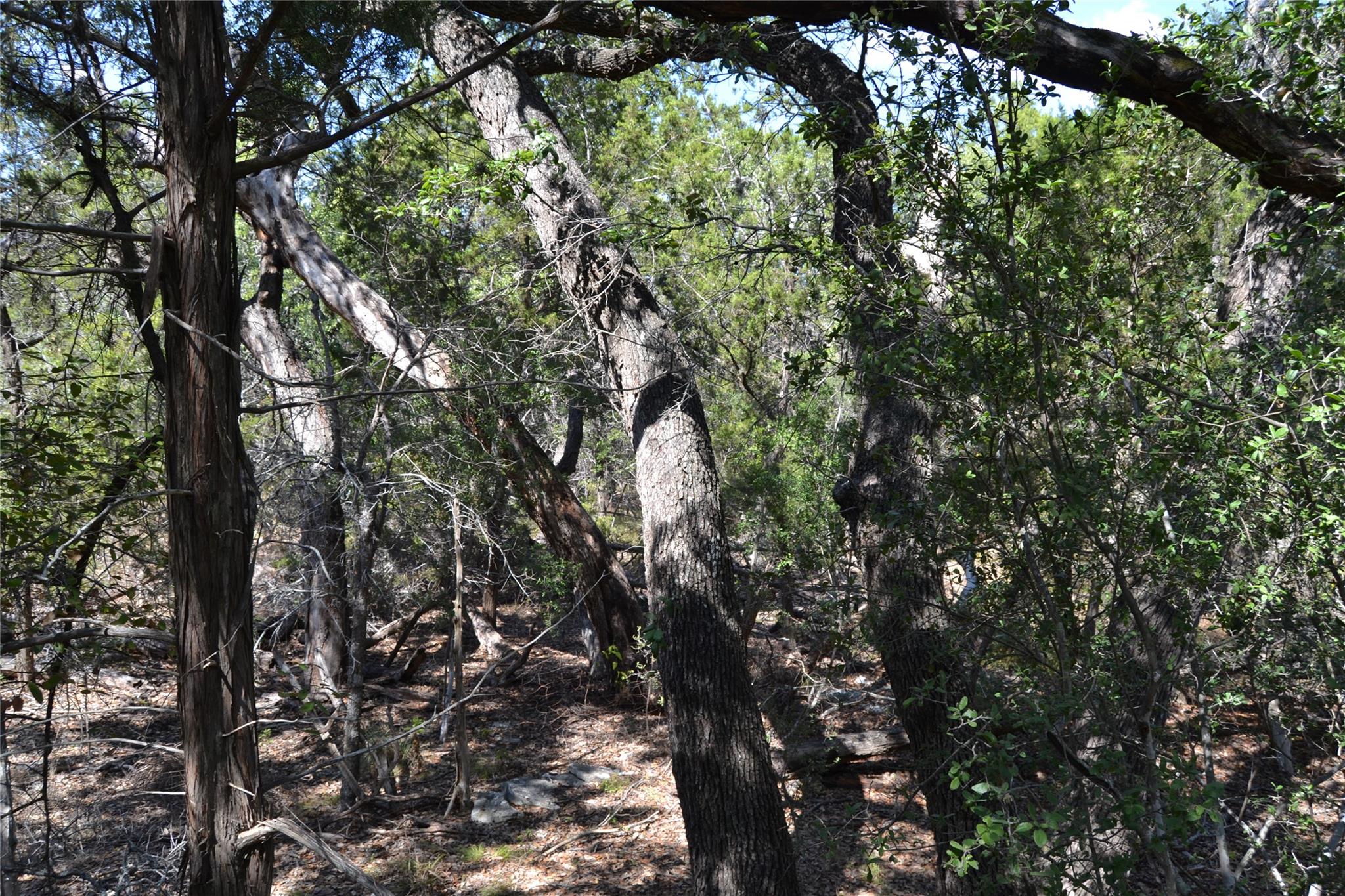 8409 Appaloosa Run, Austin, TX 78737