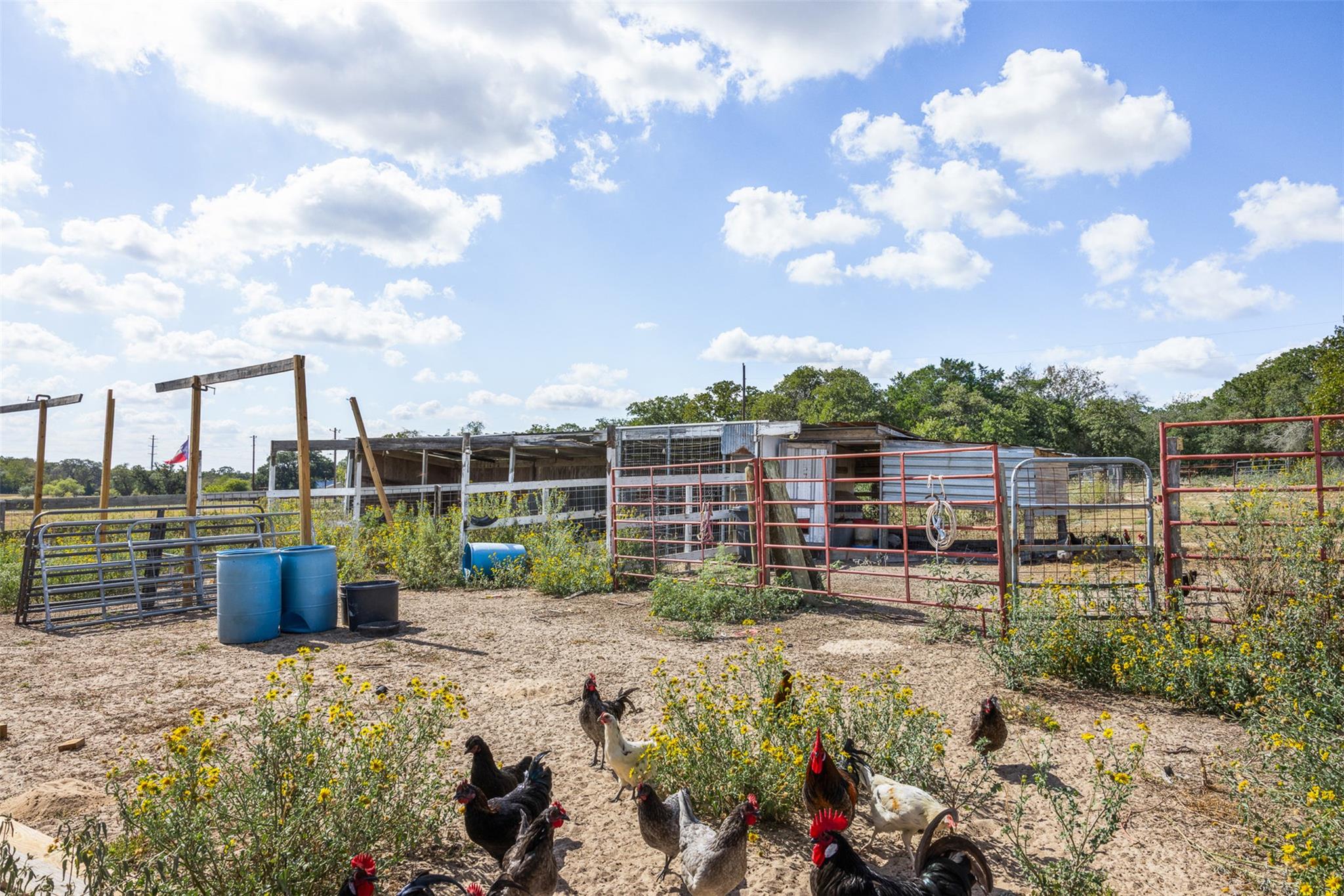 2135 Mule Creek Rd, Harwood, TX 78632