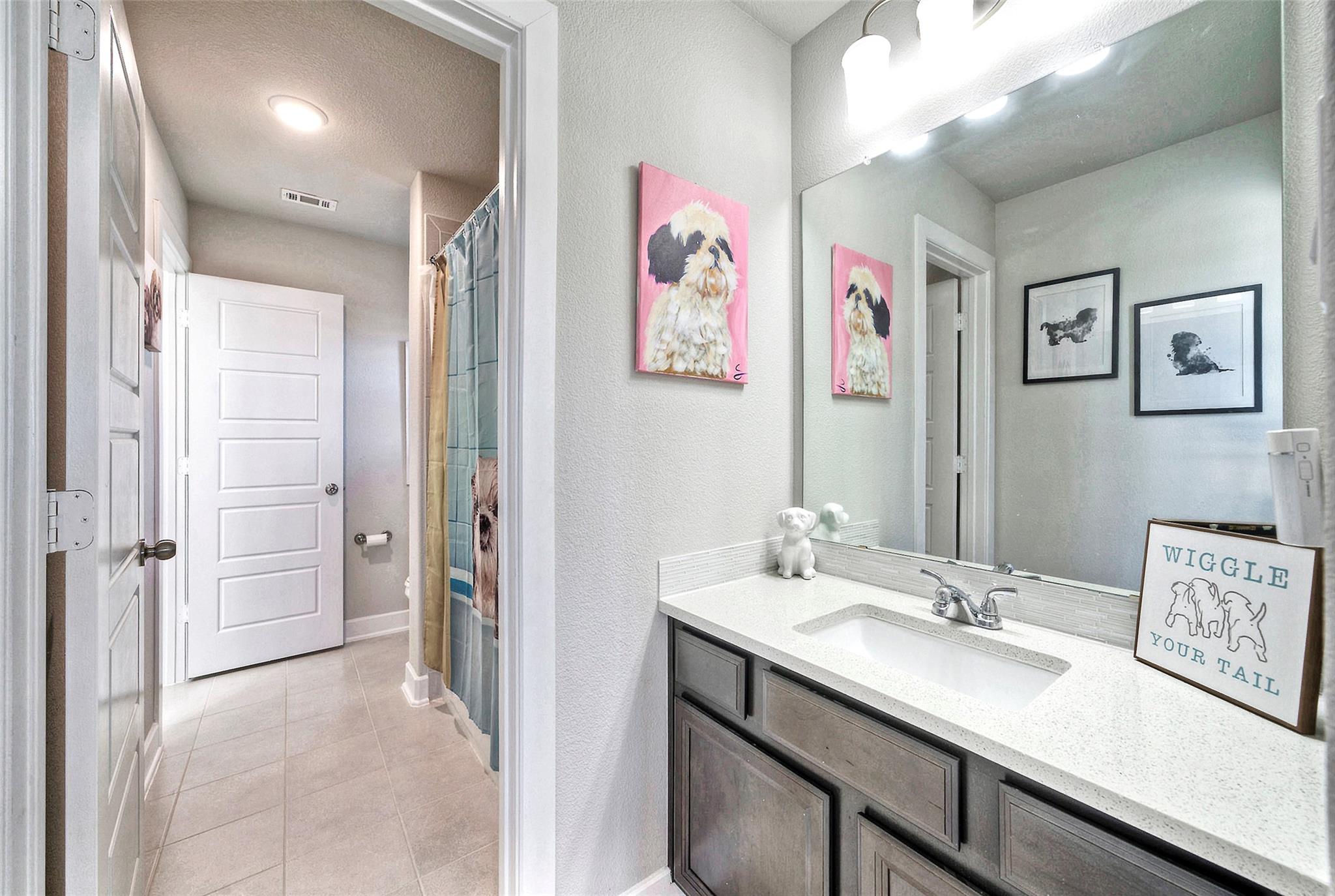 113 Shady Point Ct, Georgetown, TX 78628