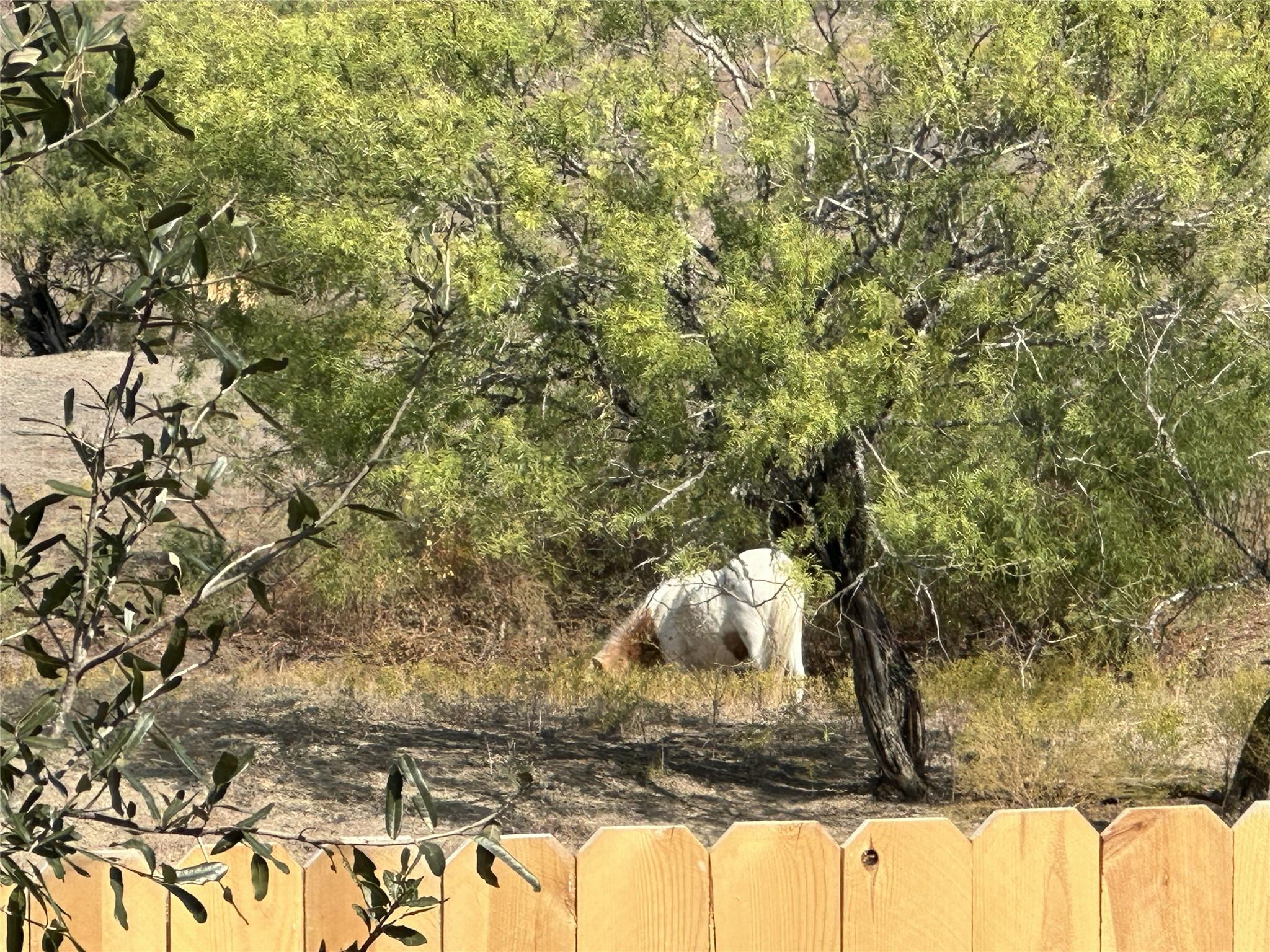 436 Young St, Buda, TX 78610