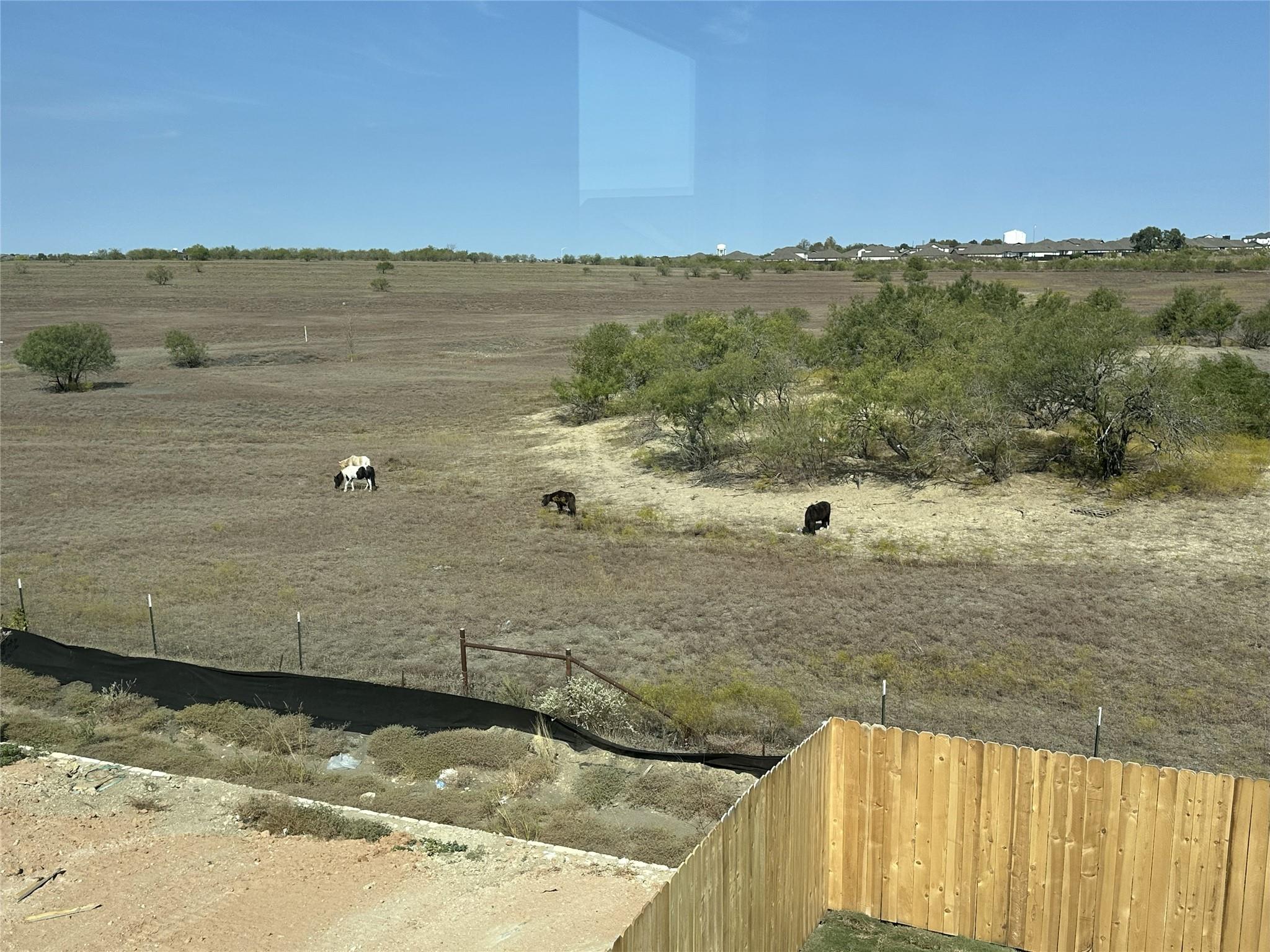 436 Young St, Buda, TX 78610