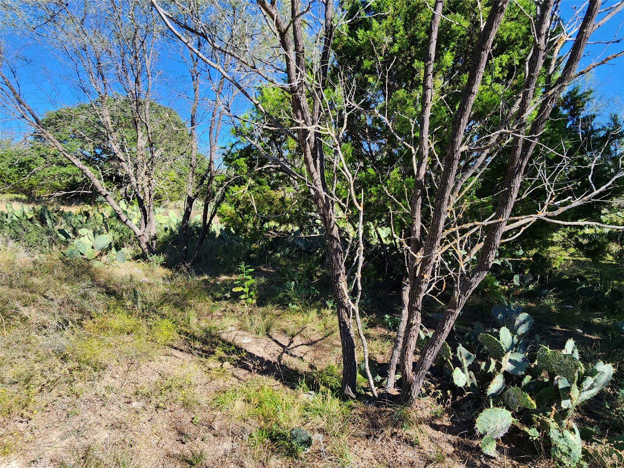 Lot 73 Shin Oak Dr, Lampasas, TX 76550