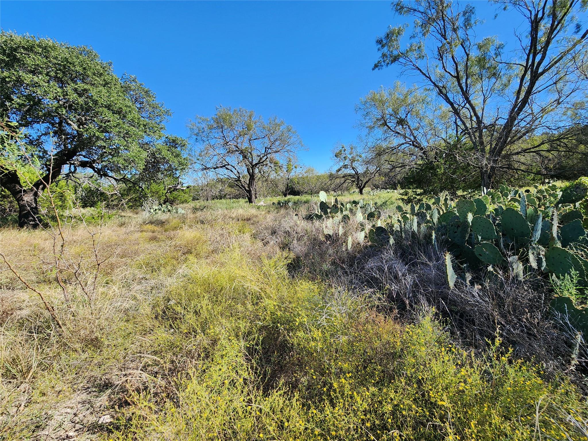 Lot 73 Shin Oak Dr, Lampasas, TX 76550