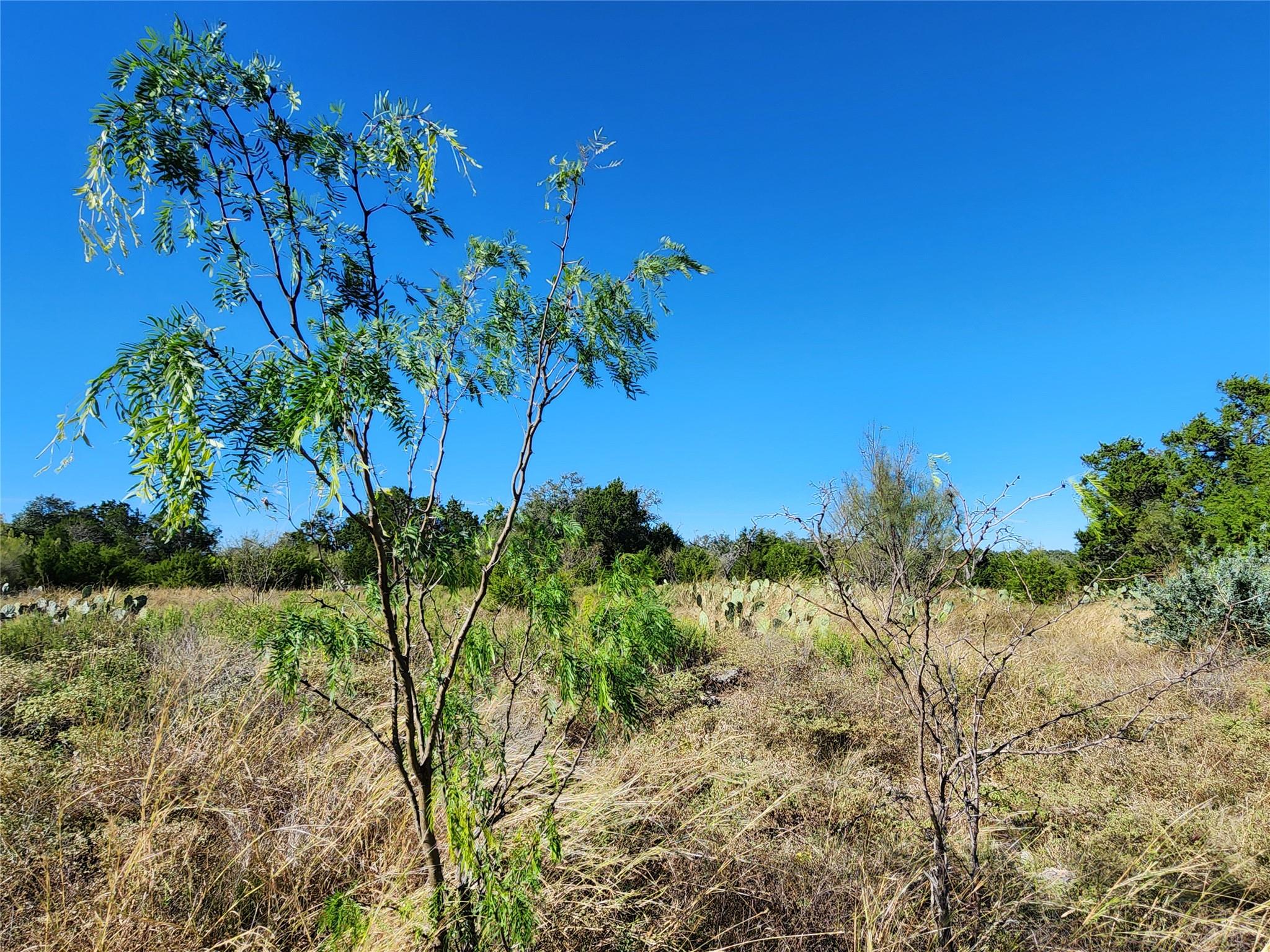 Lot 73 Shin Oak Dr, Lampasas, TX 76550