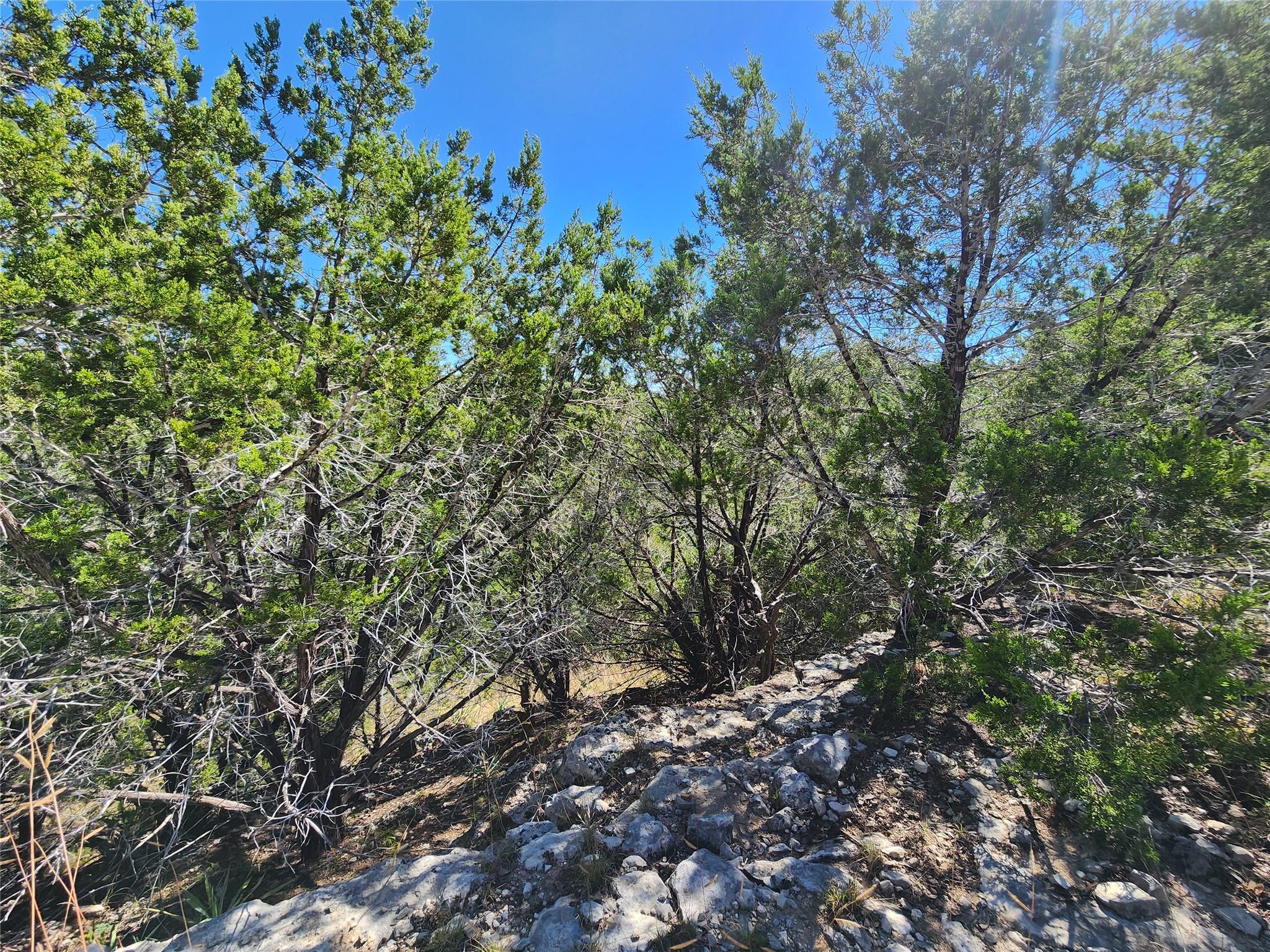 Lot 74 Bluff View Rd, Kempner, TX 76539