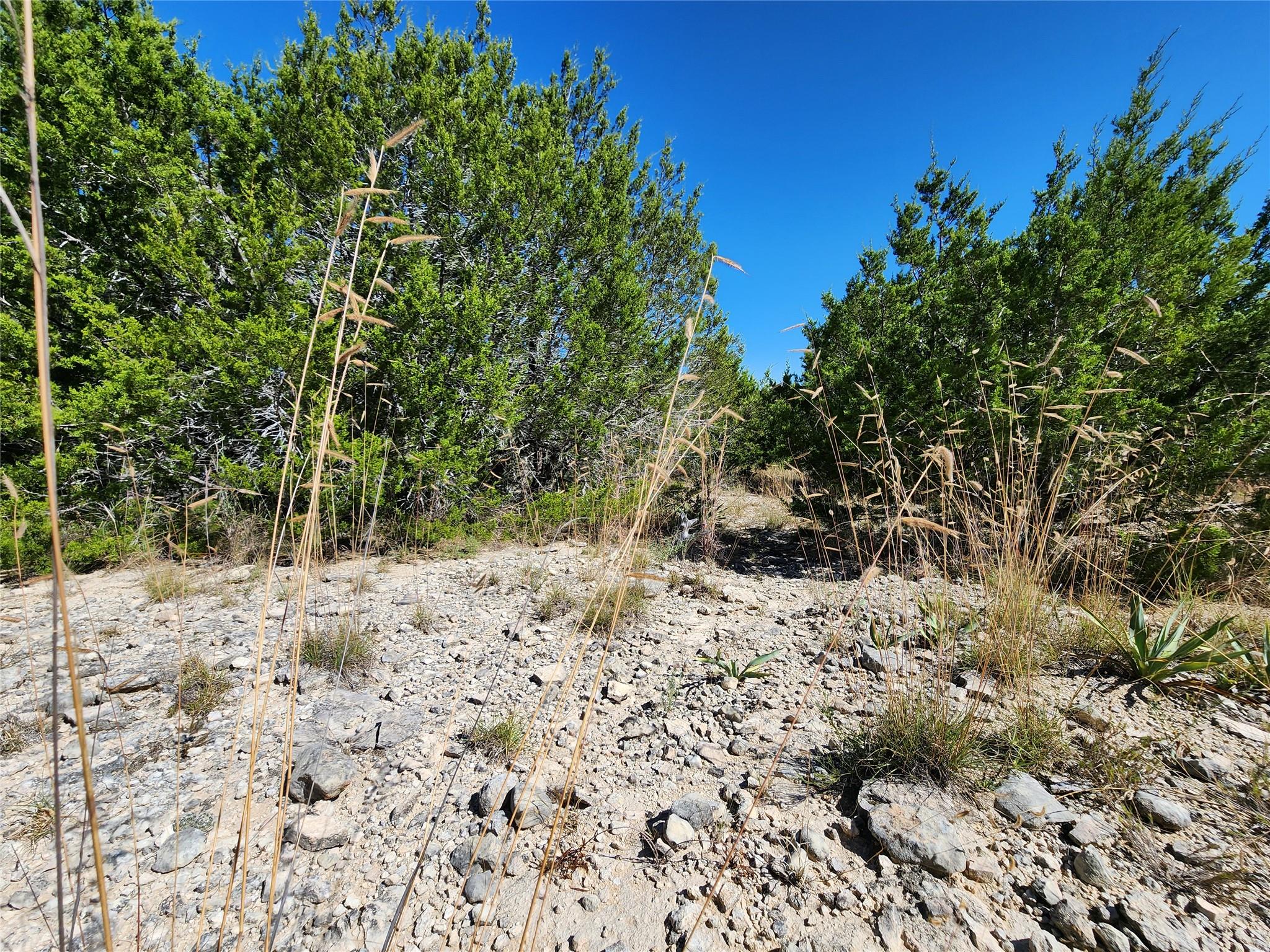 Lot 74 Bluff View Rd, Kempner, TX 76539