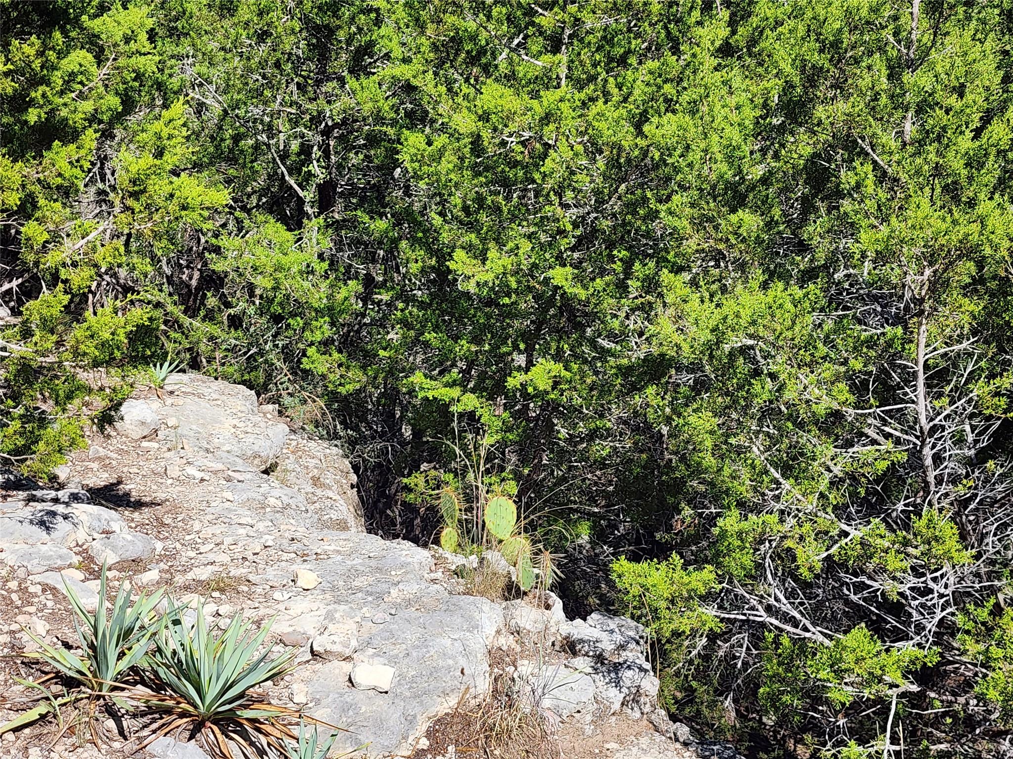 Lot 74 Bluff View Rd, Kempner, TX 76539