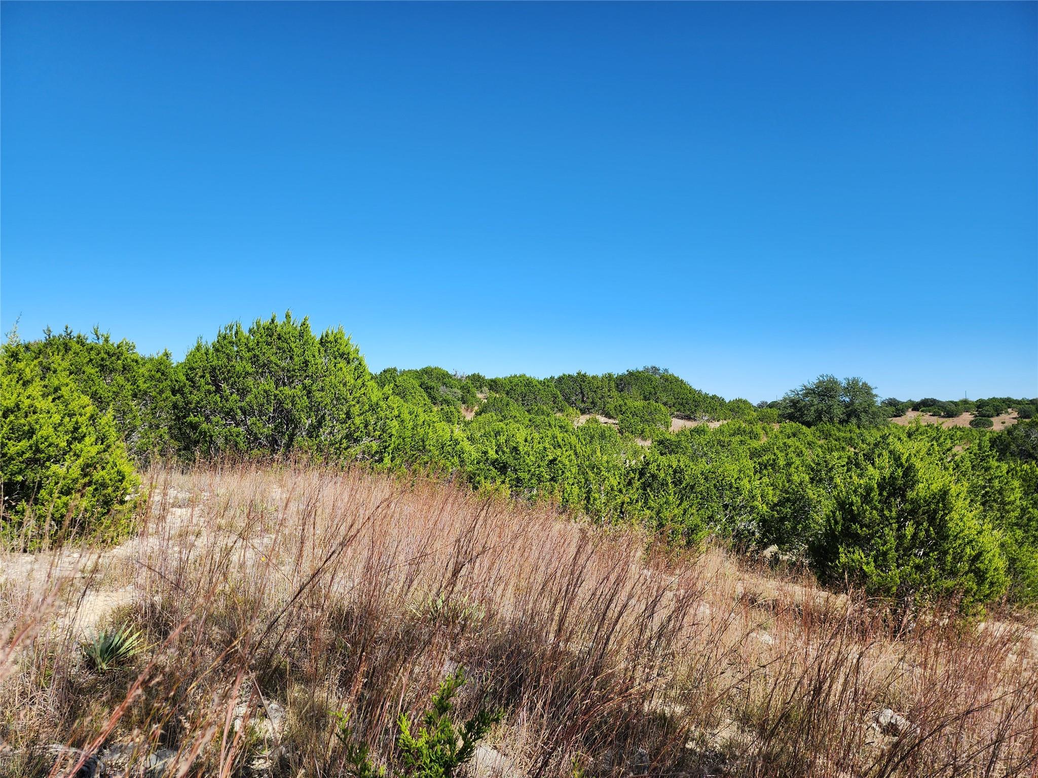 Lot 74 Bluff View Rd, Kempner, TX 76539