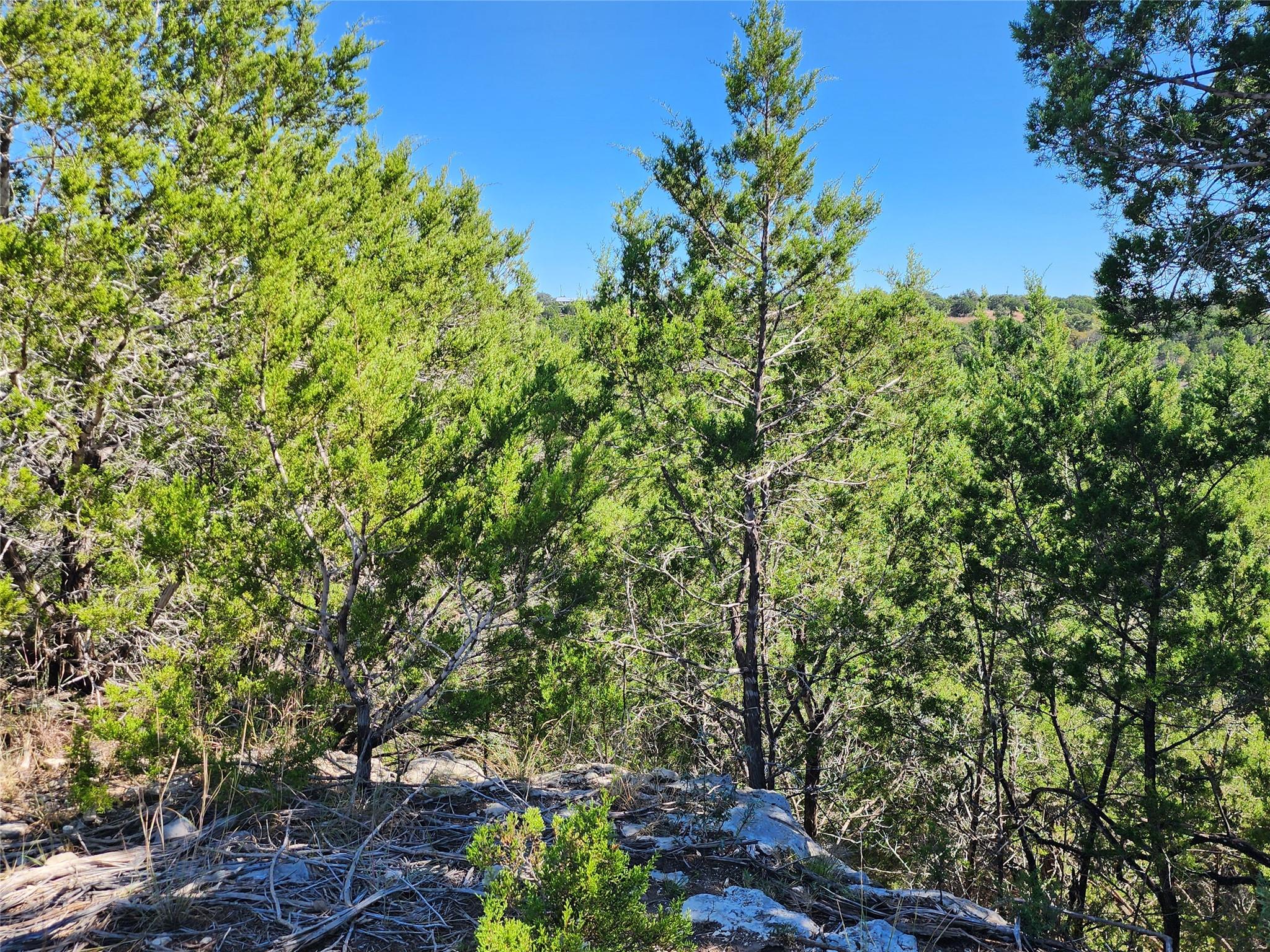 Lot 74 Bluff View Rd, Kempner, TX 76539