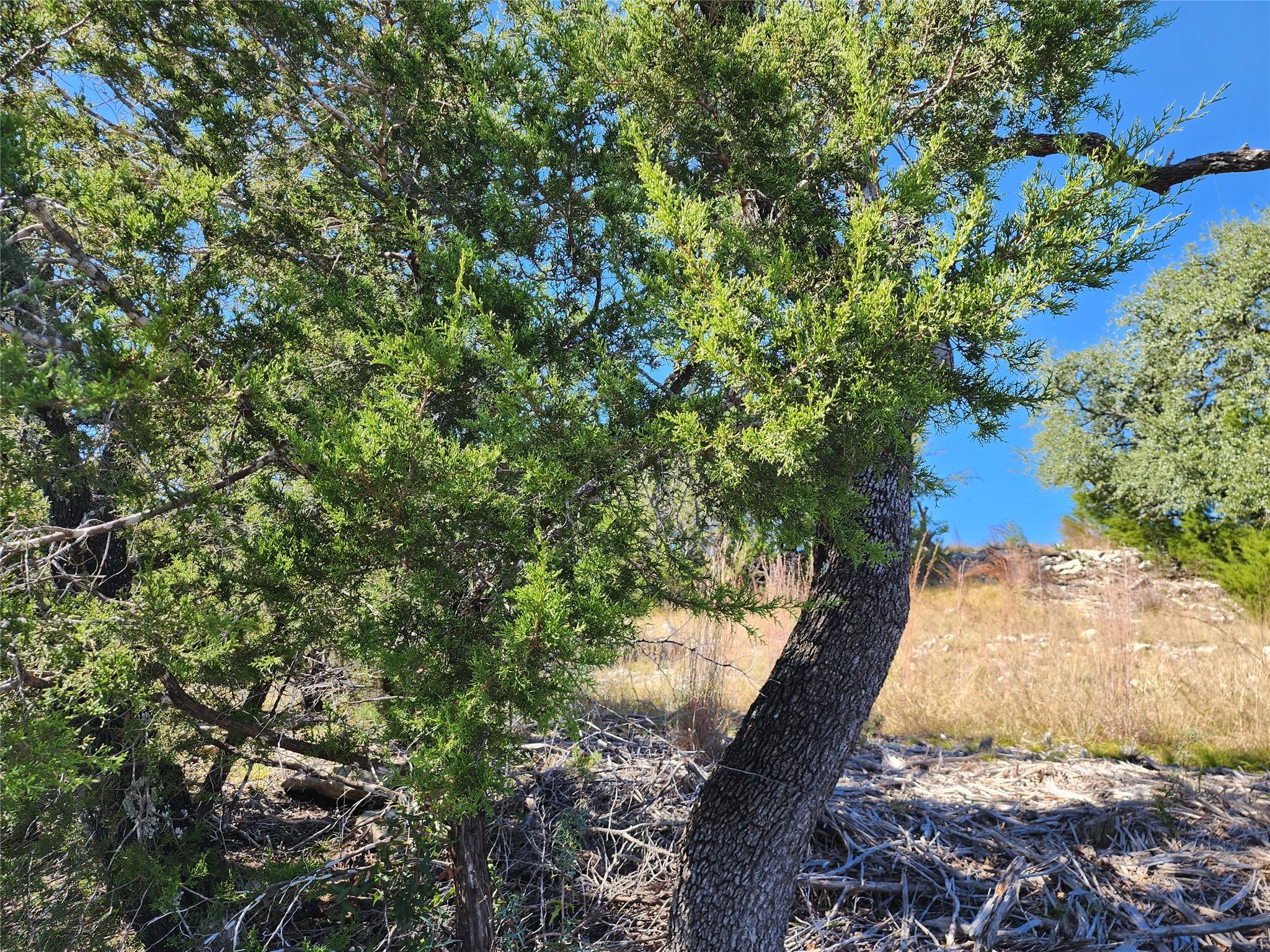 Lot 74 Bluff View Rd, Kempner, TX 76539