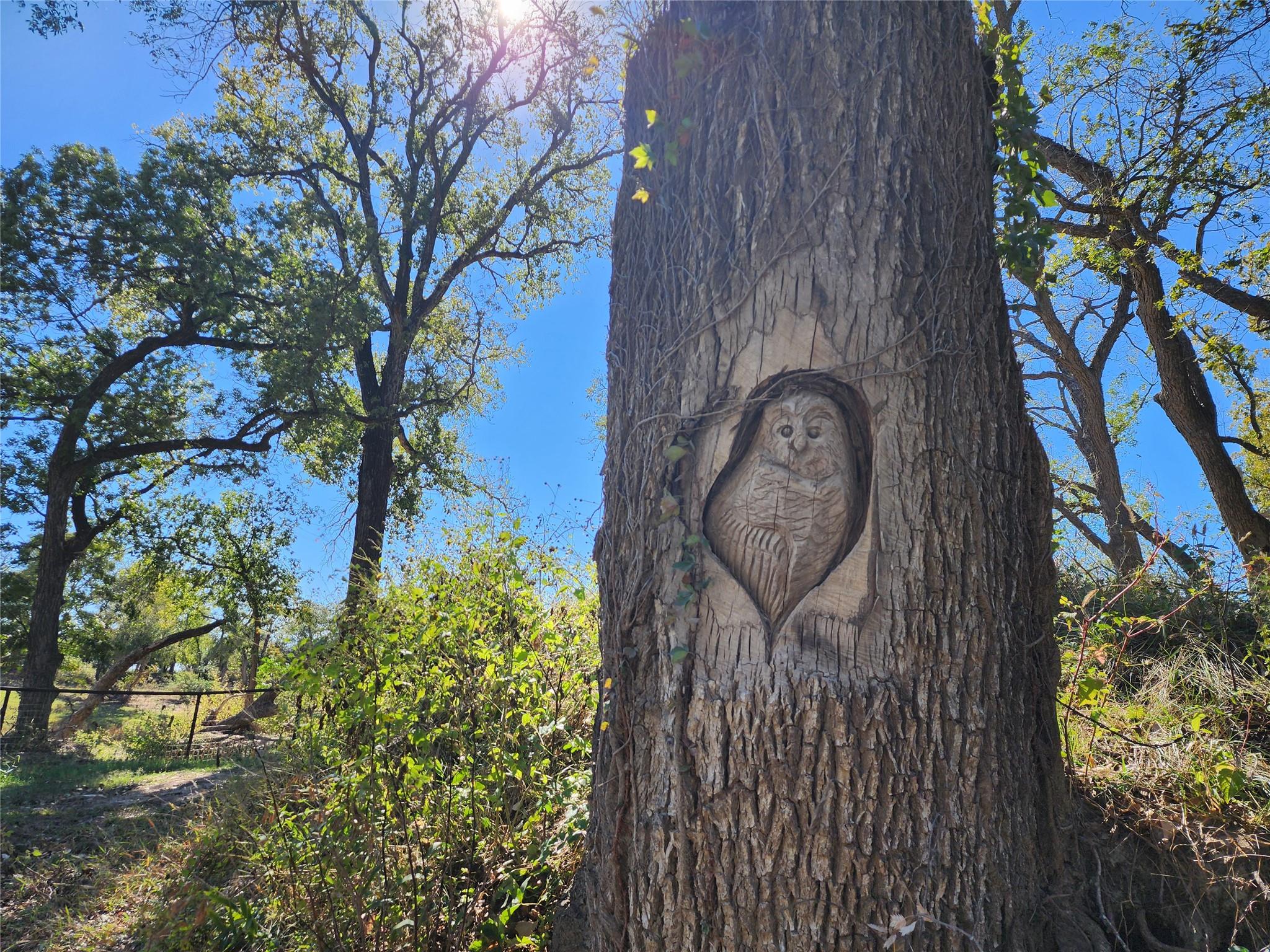 Lot 74 Bluff View Rd, Kempner, TX 76539