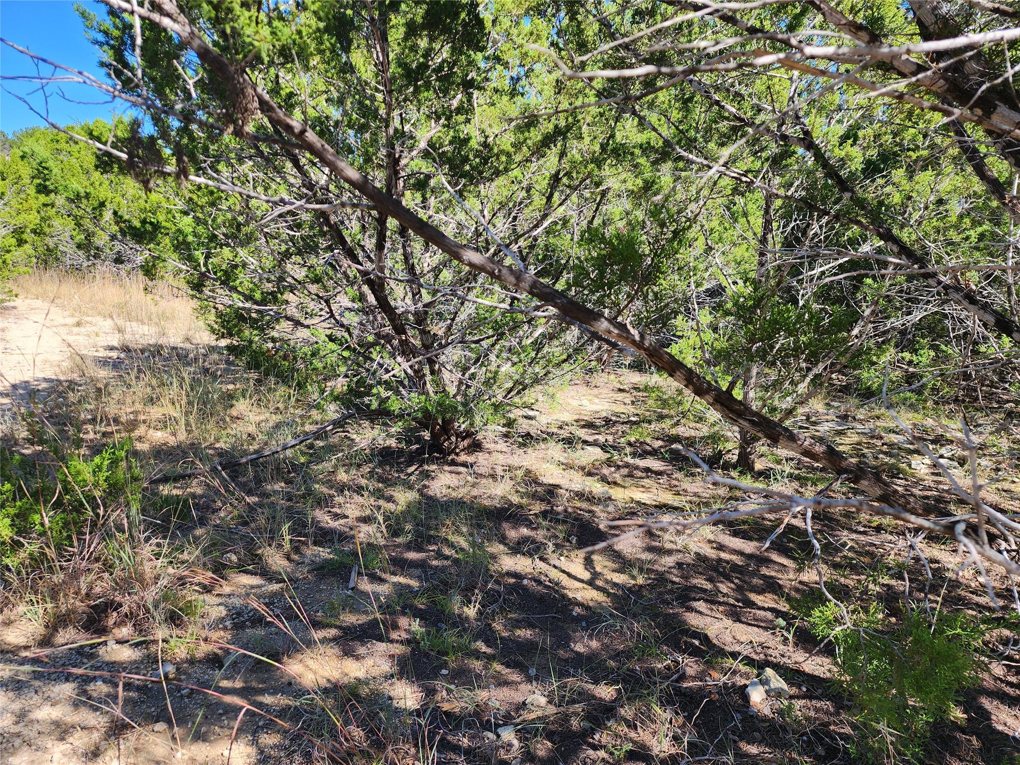 Lot 74 Bluff View Rd, Kempner, TX 76539