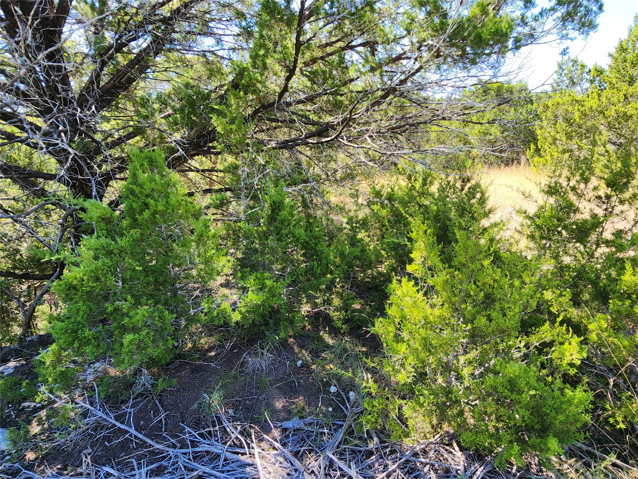 Lot 74 Bluff View Rd, Kempner, TX 76539