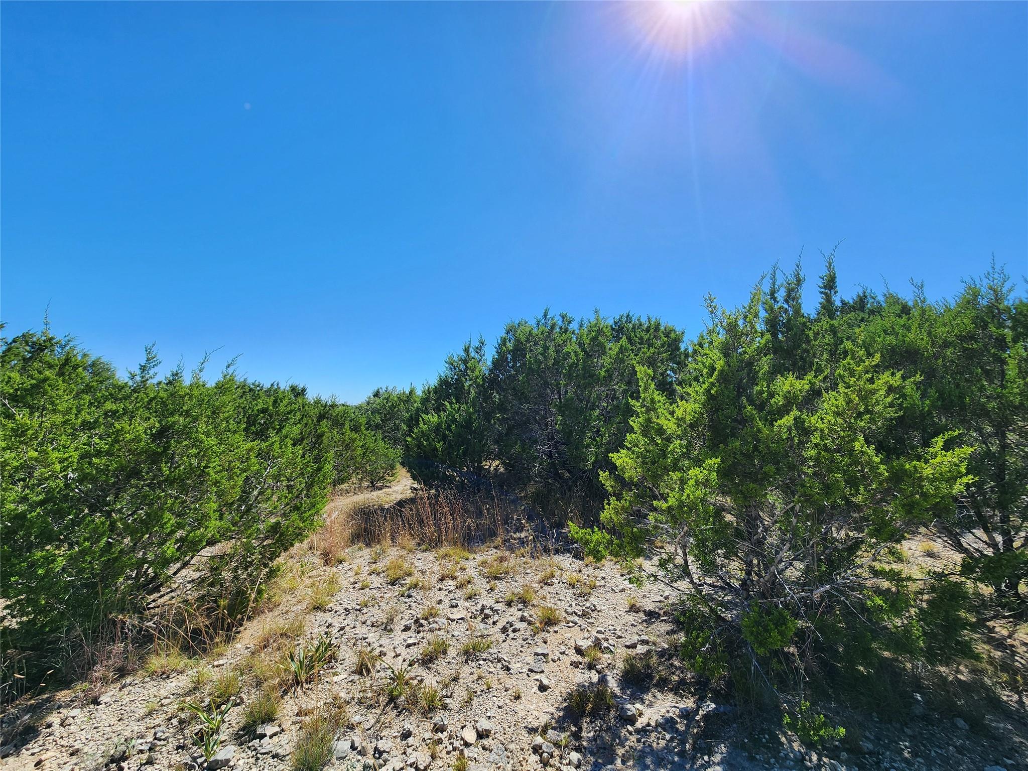 Lot 74 Bluff View Rd, Kempner, TX 76539