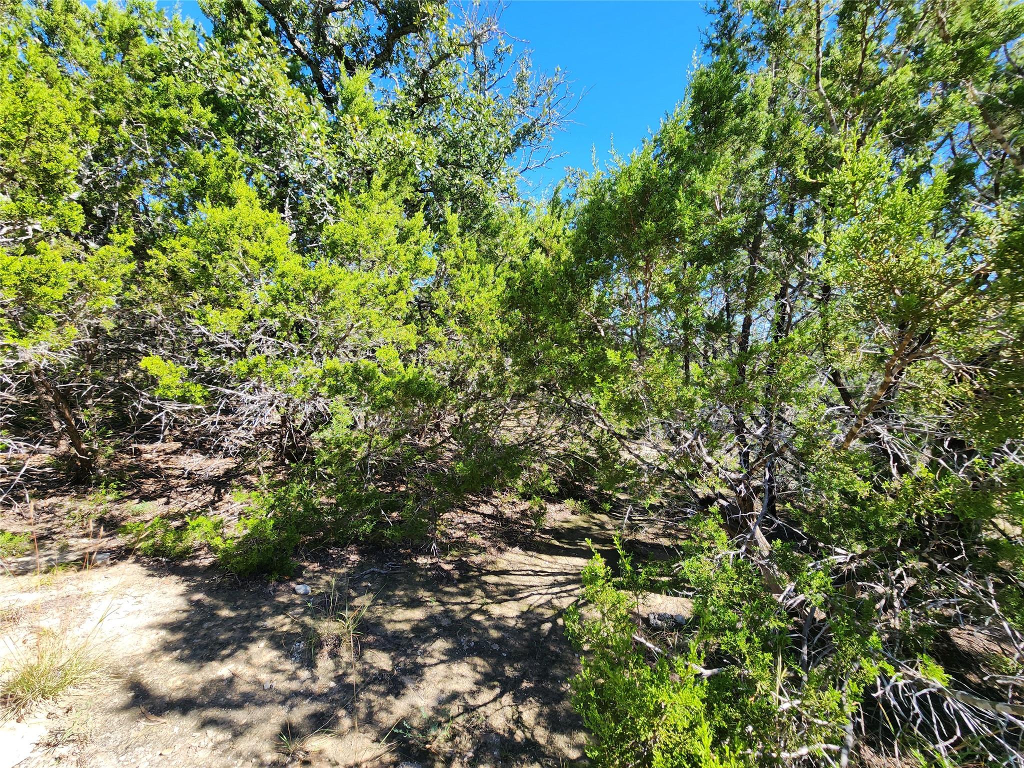 Lot 74 Bluff View Rd, Kempner, TX 76539