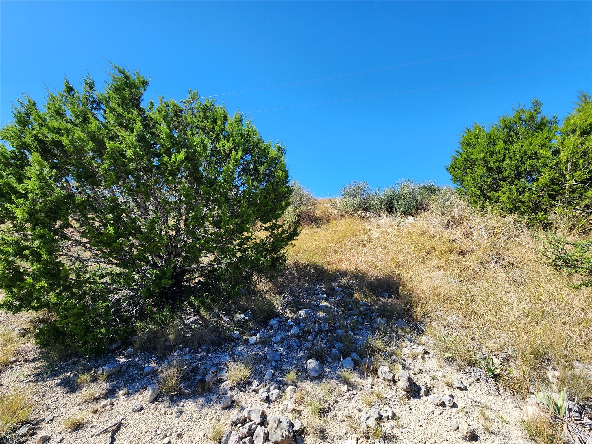 Lot 74 Bluff View Rd, Kempner, TX 76539