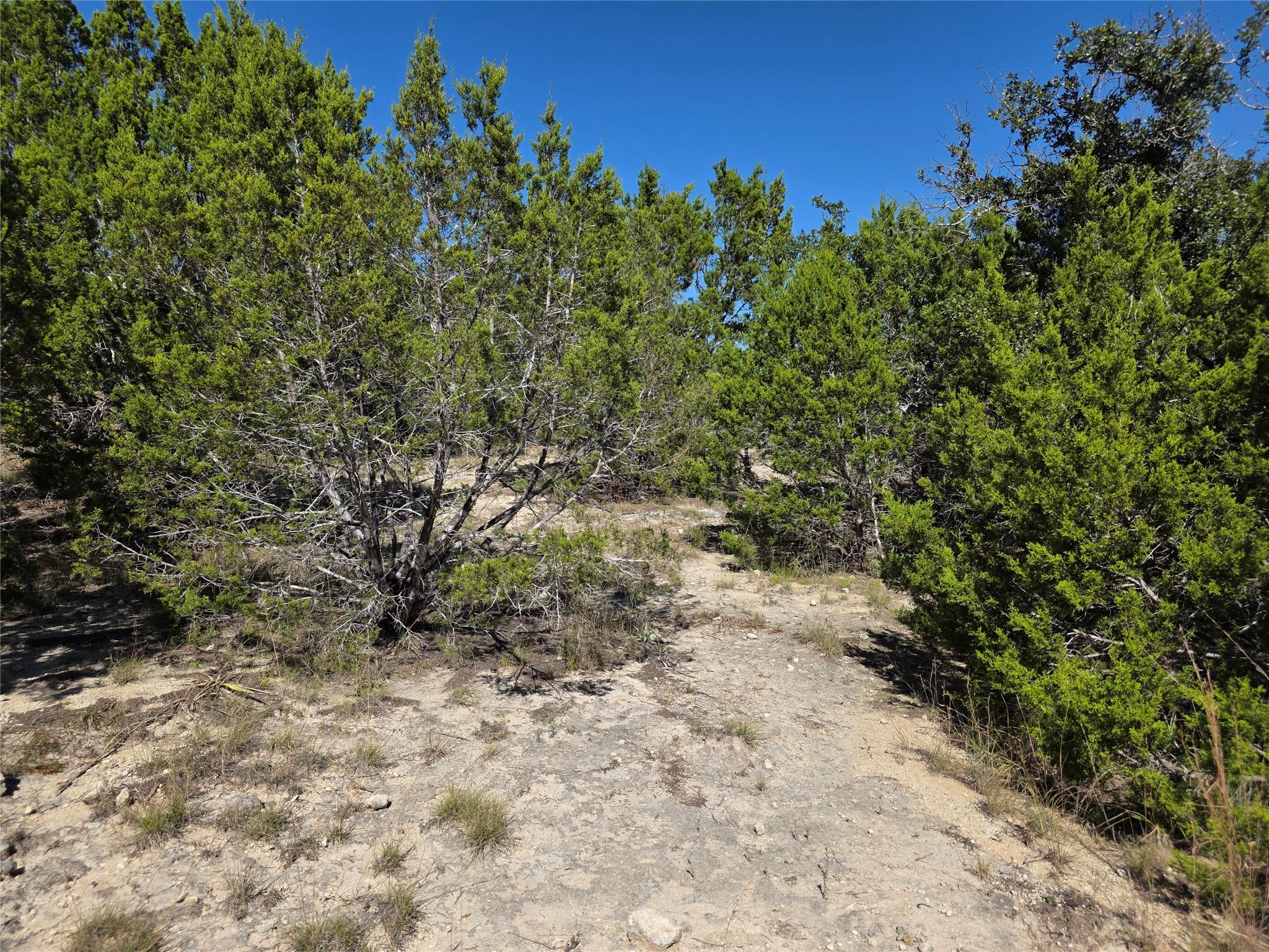 Lot 74 Bluff View Rd, Kempner, TX 76539