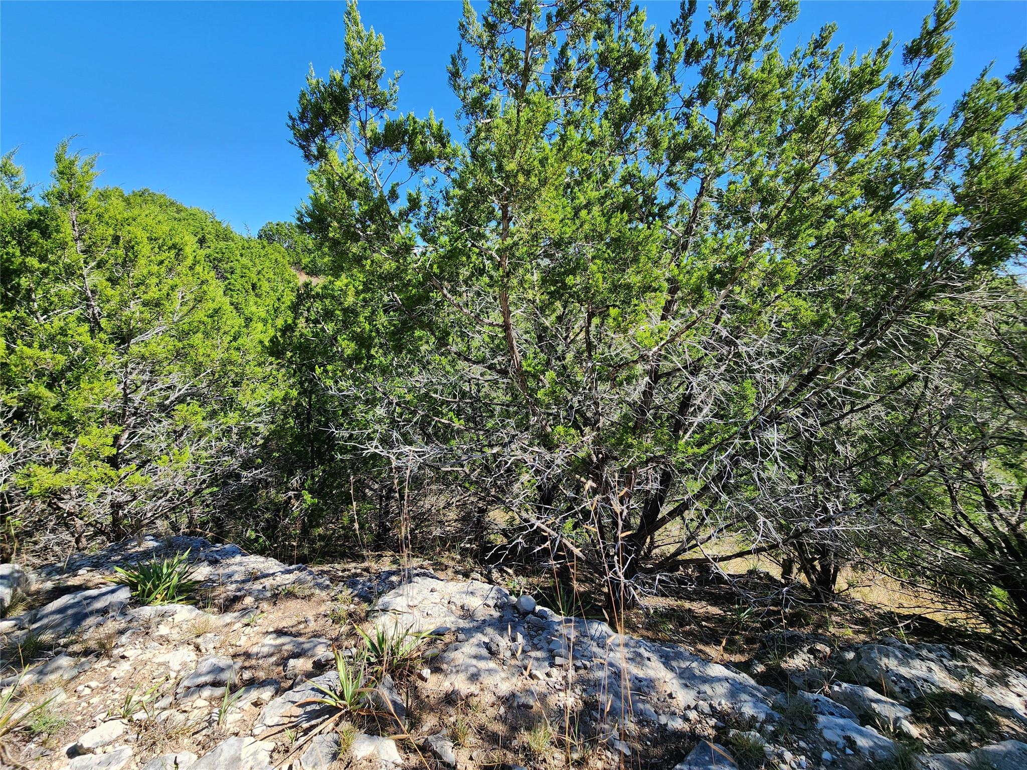 Lot 74 Bluff View Rd, Kempner, TX 76539