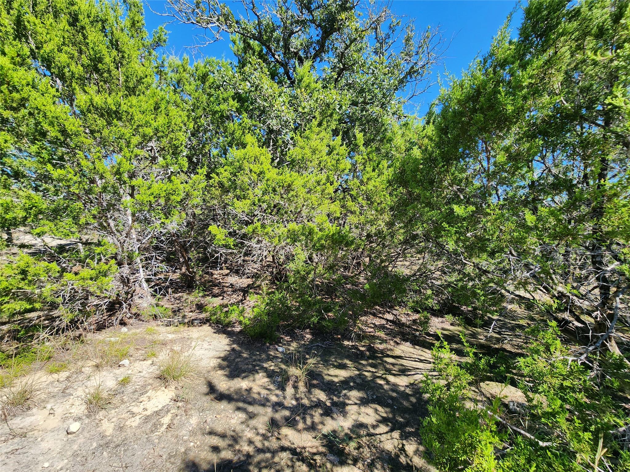 Lot 74 Bluff View Rd, Kempner, TX 76539