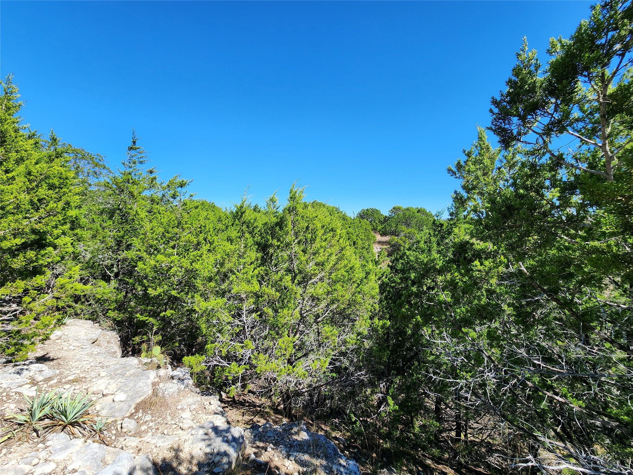 Lot 74 Bluff View Rd, Kempner, TX 76539