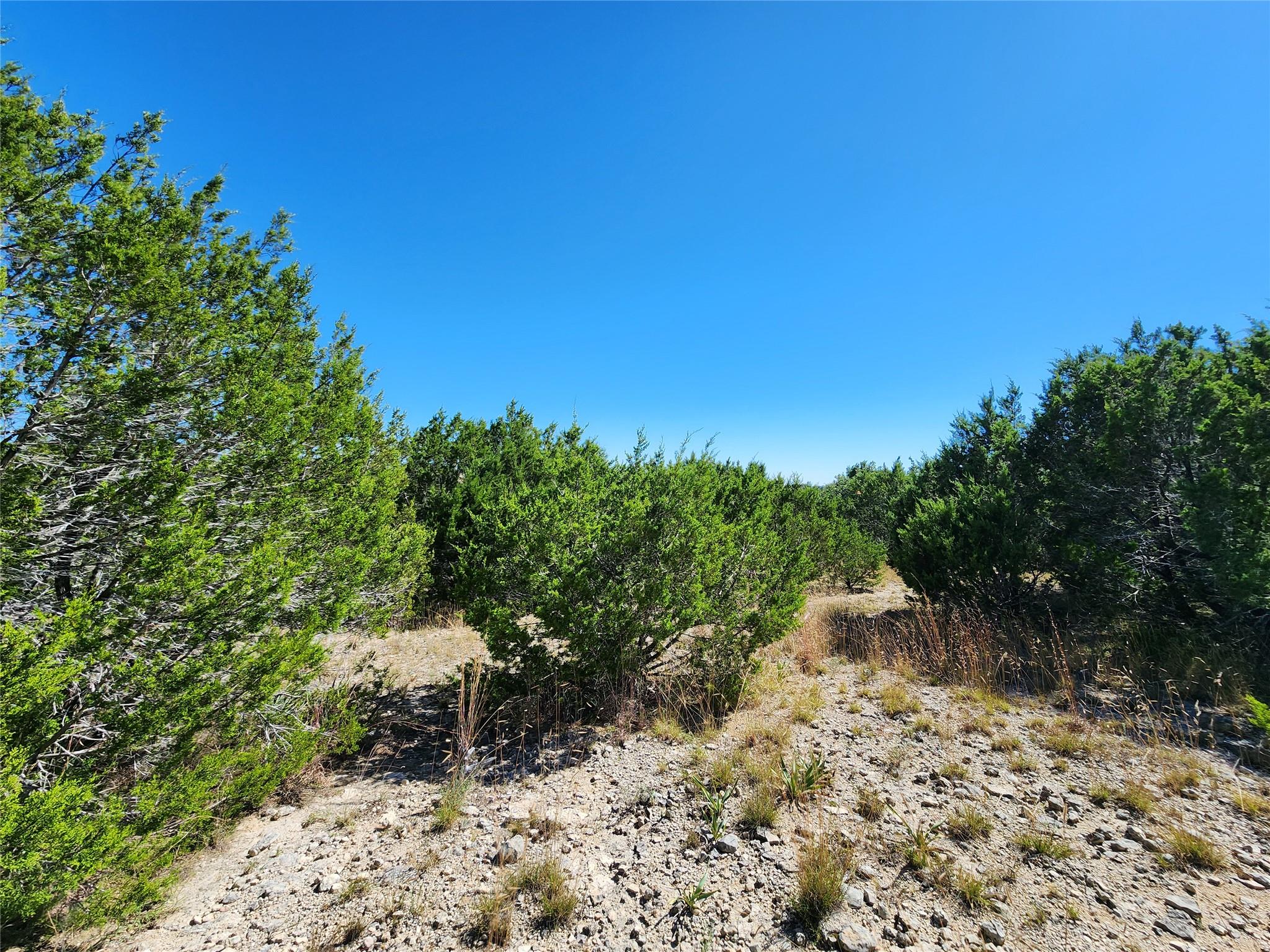 Lot 74 Bluff View Rd, Kempner, TX 76539