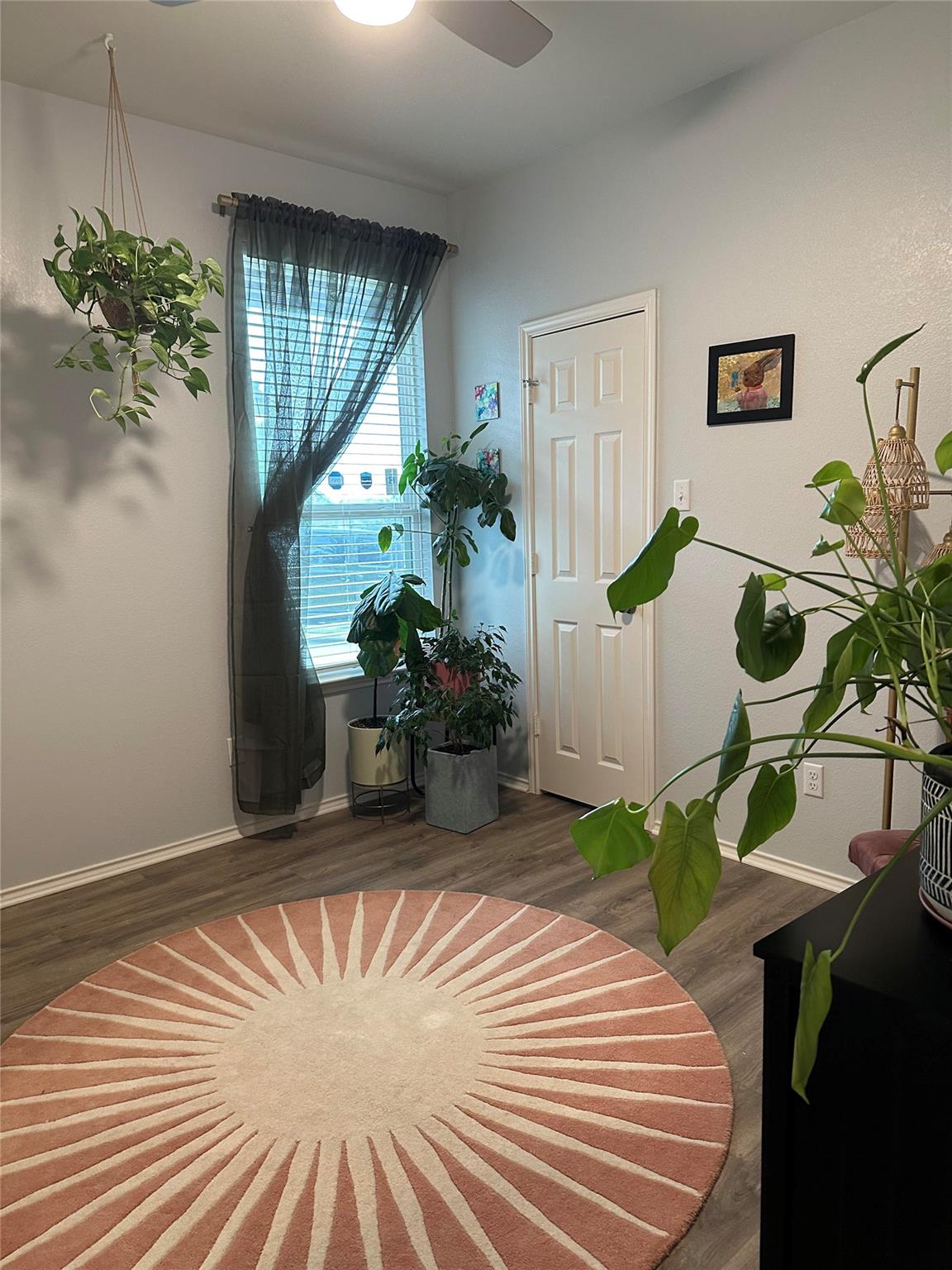 302 Eves Necklace Dr, Buda, TX 78610