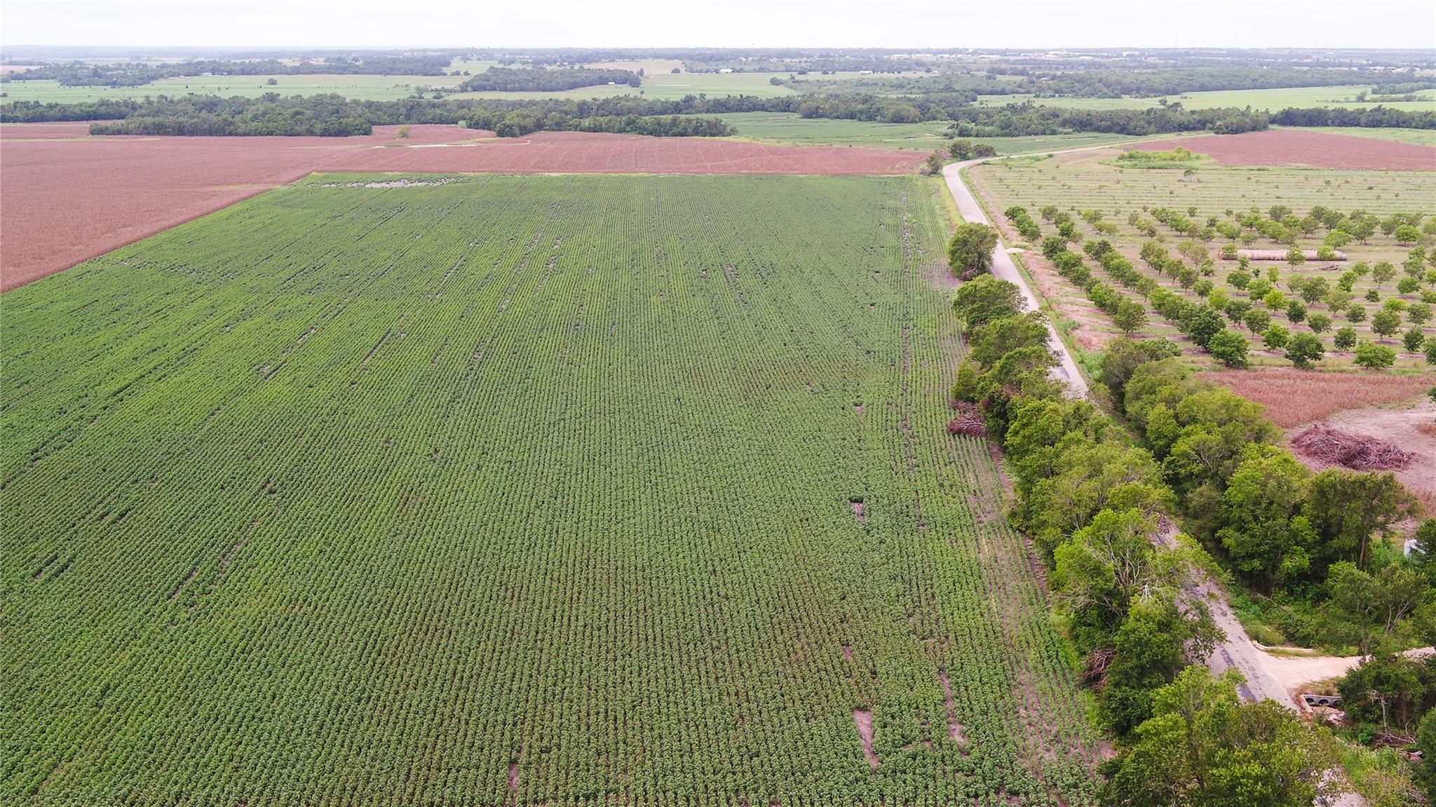 108 CR 240A, Cameron, TX 76520