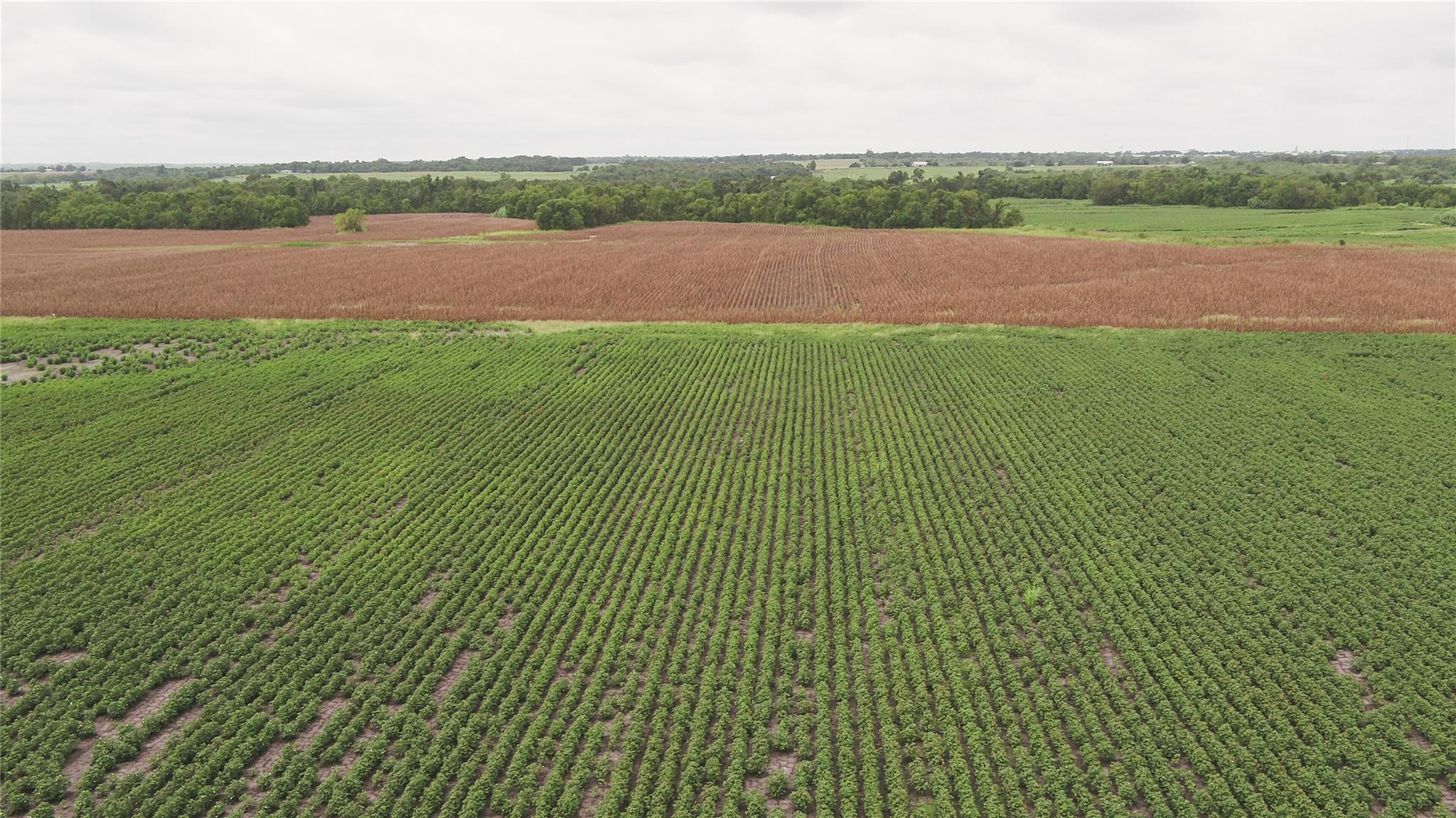 108 CR 240A, Cameron, TX 76520