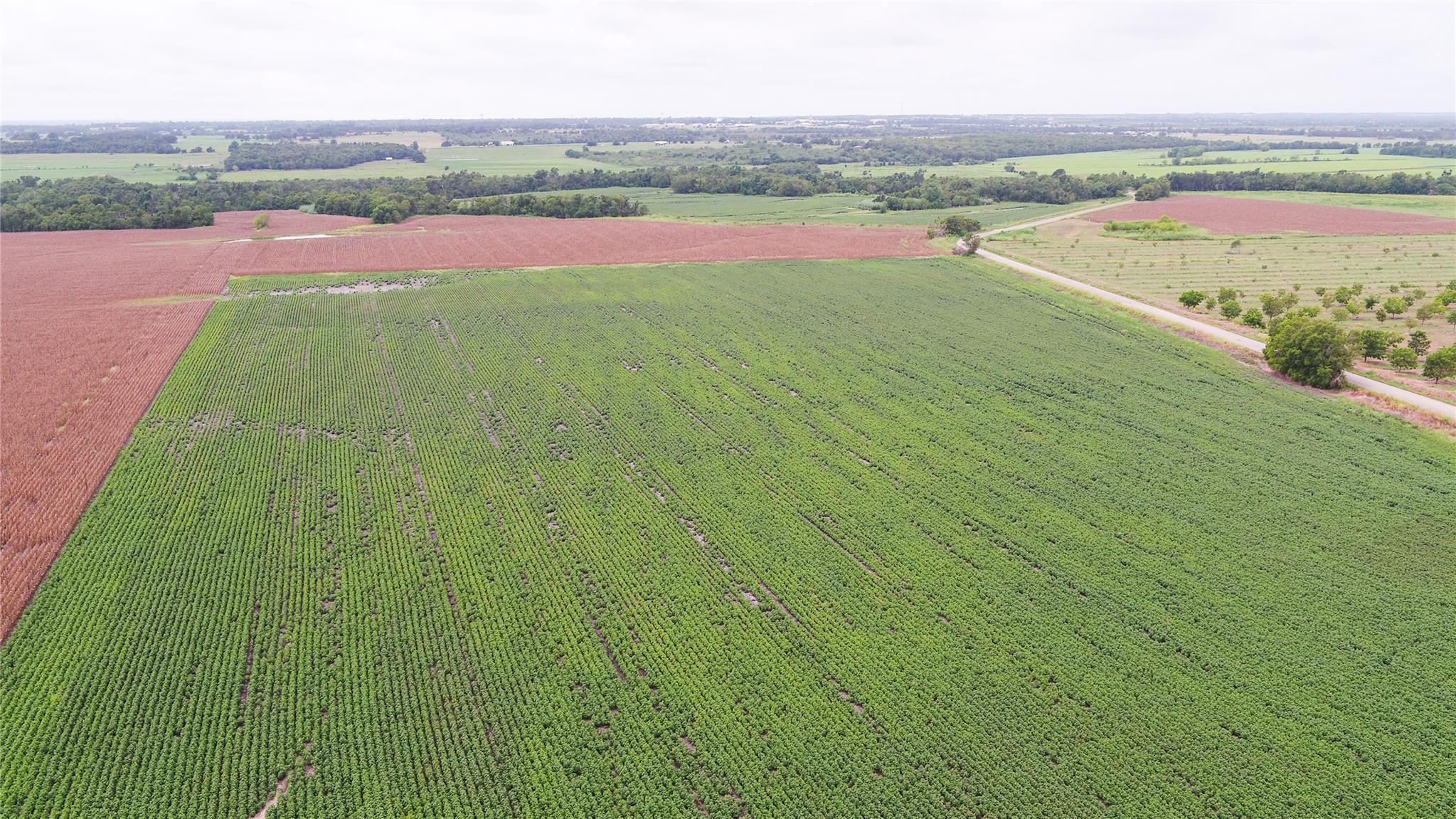 108 CR 240A, Cameron, TX 76520