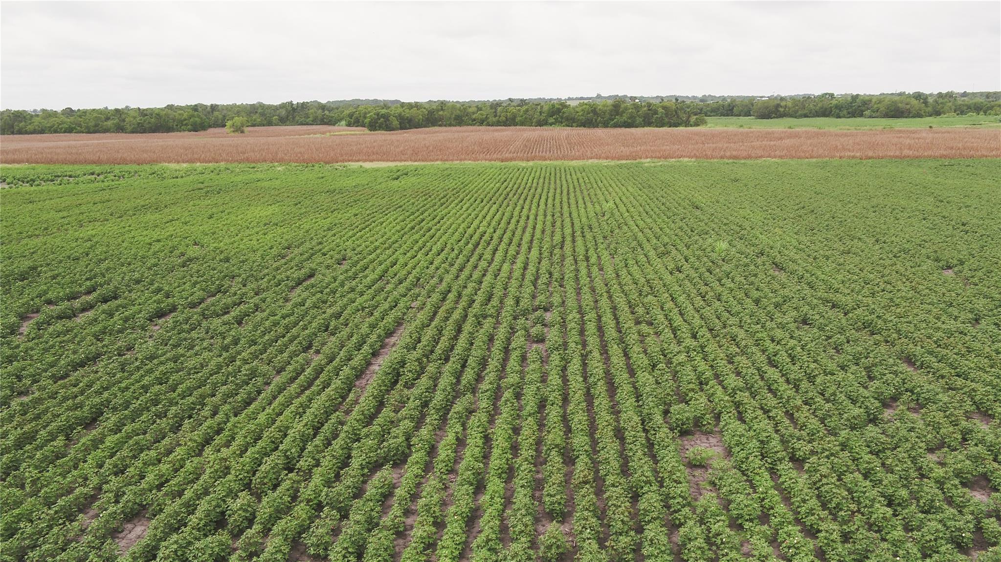 108 CR 240A, Cameron, TX 76520