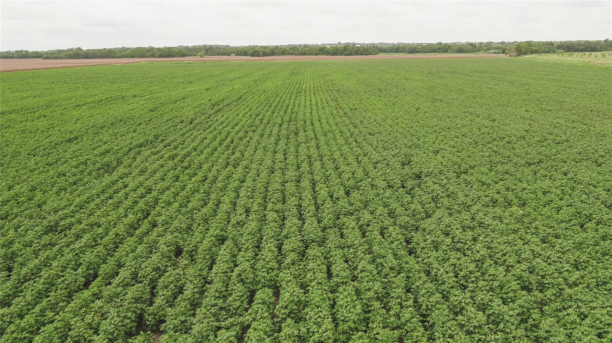 108 CR 240A, Cameron, TX 76520