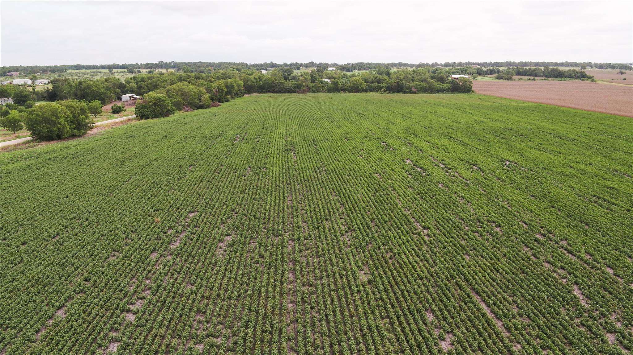 108 CR 240A, Cameron, TX 76520