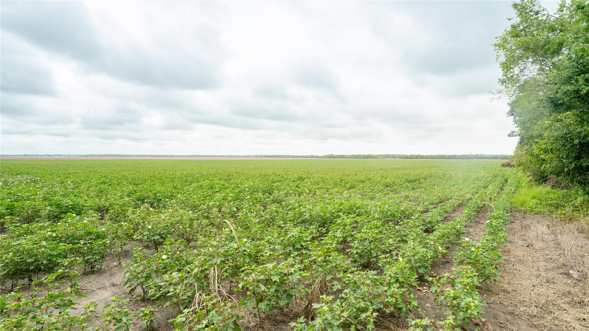 108 CR 240A, Cameron, TX 76520