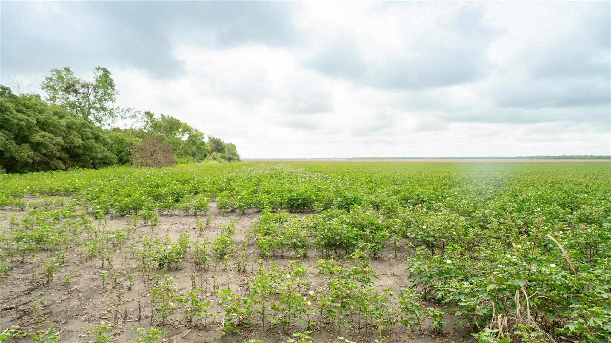 108 CR 240A, Cameron, TX 76520