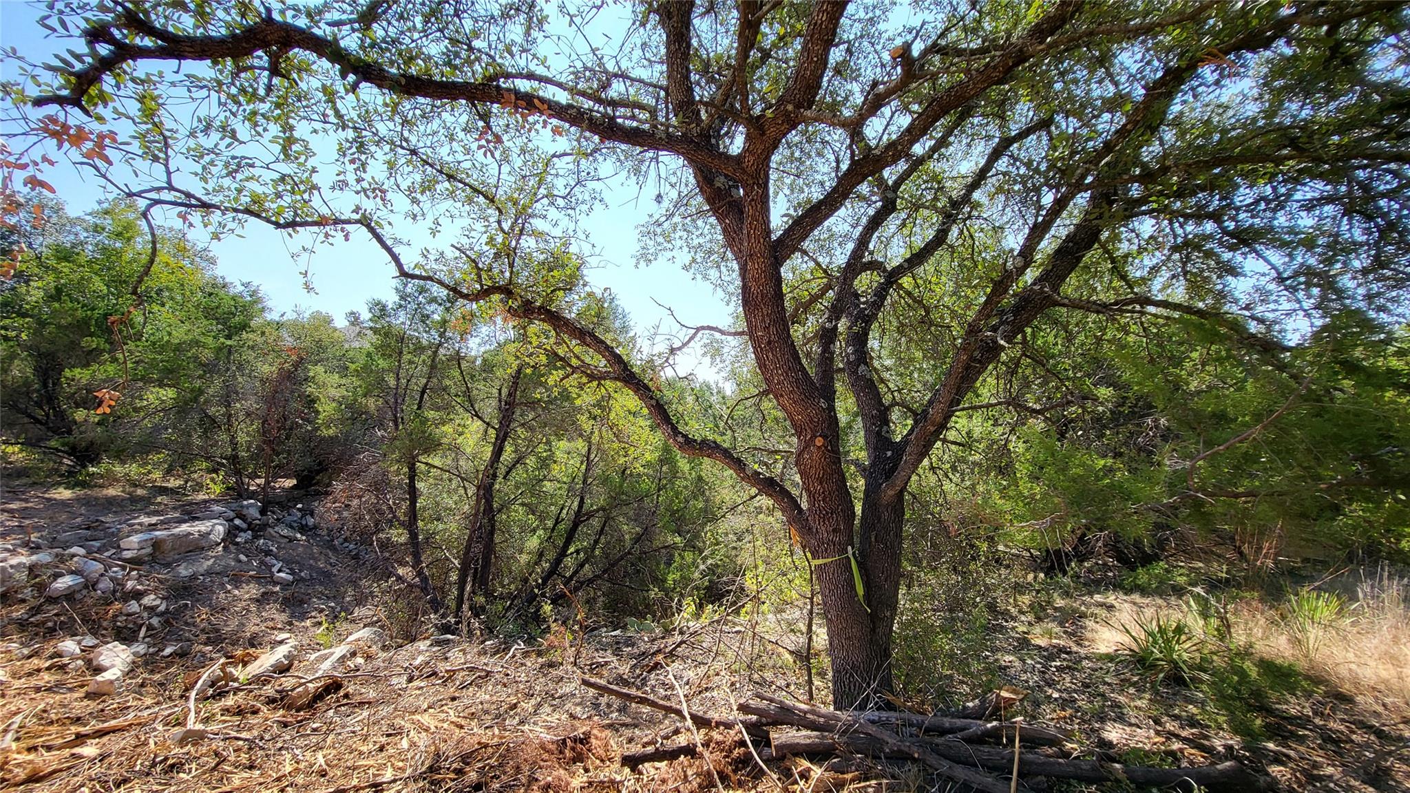 20405 Doolittle Cv, Lago Vista, TX 78645