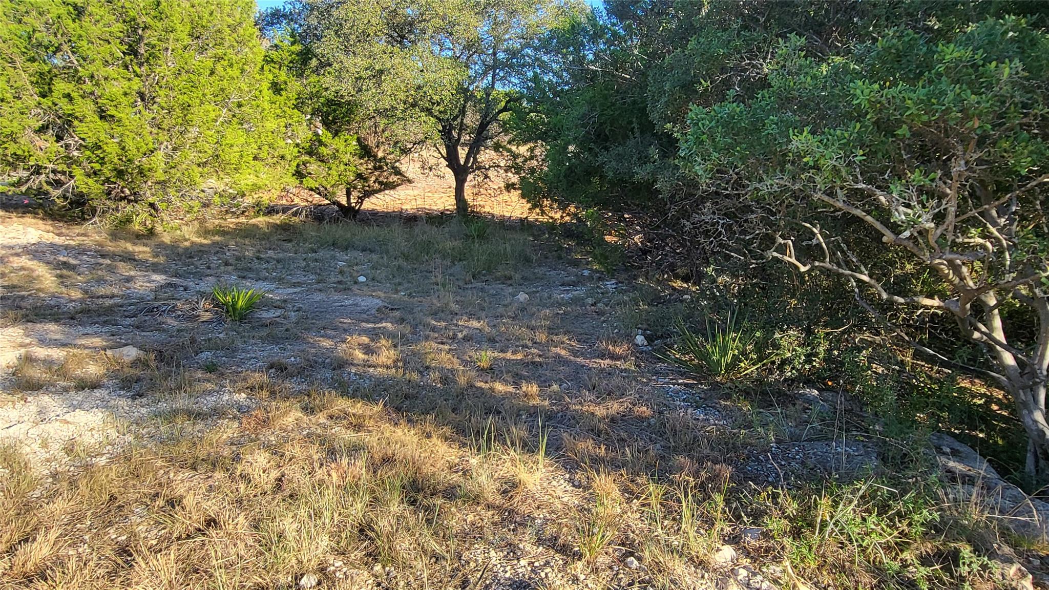 20405 Doolittle Cv, Lago Vista, TX 78645