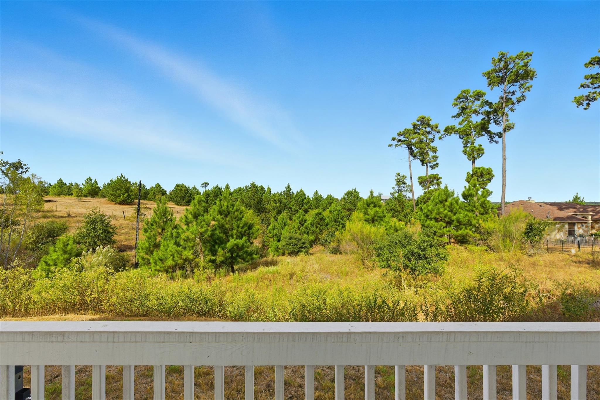 152 Spring Hollow Trl, Smithville, TX 78957