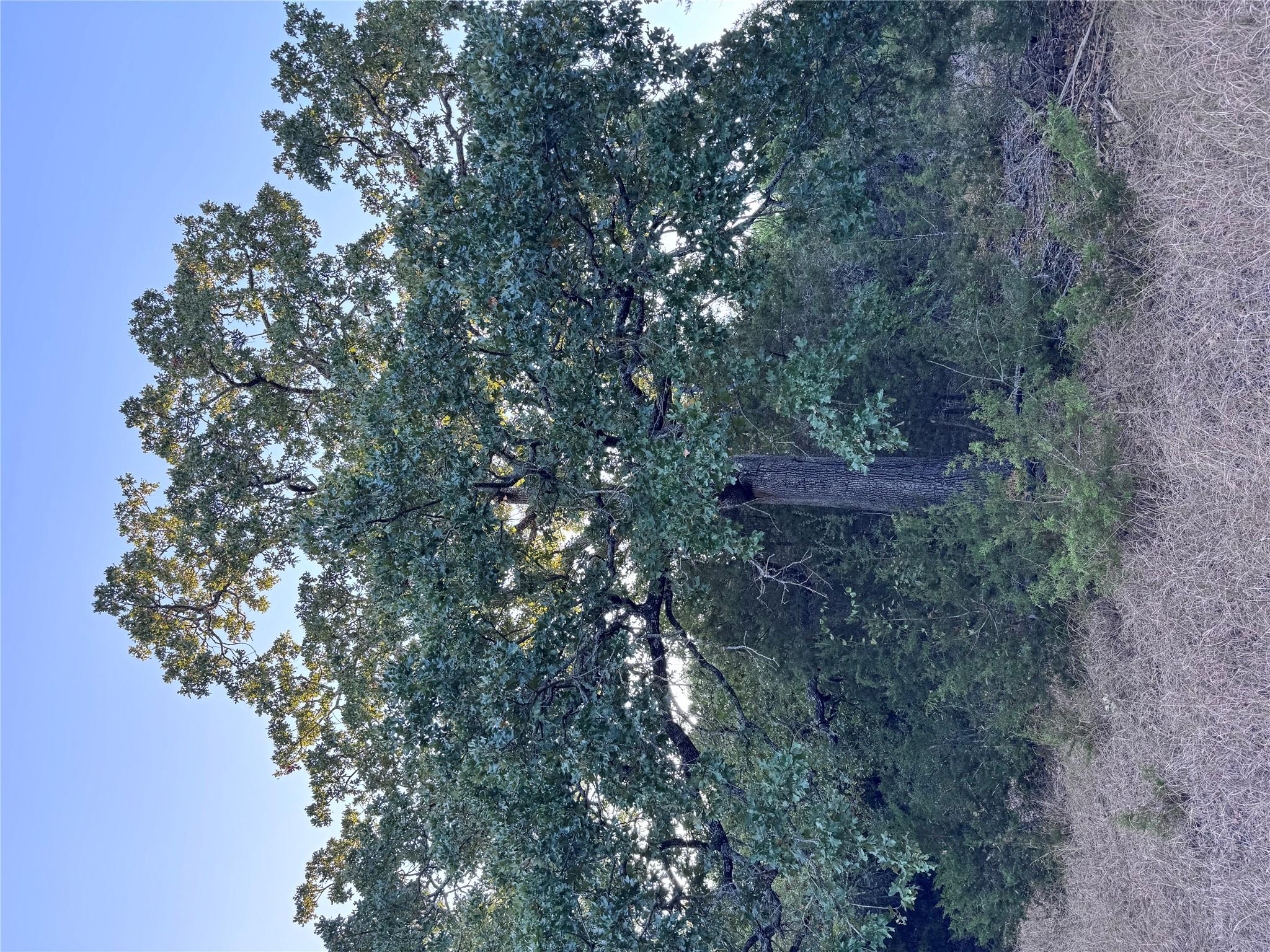 TBD Whisper Ln, Georgetown, TX 78628