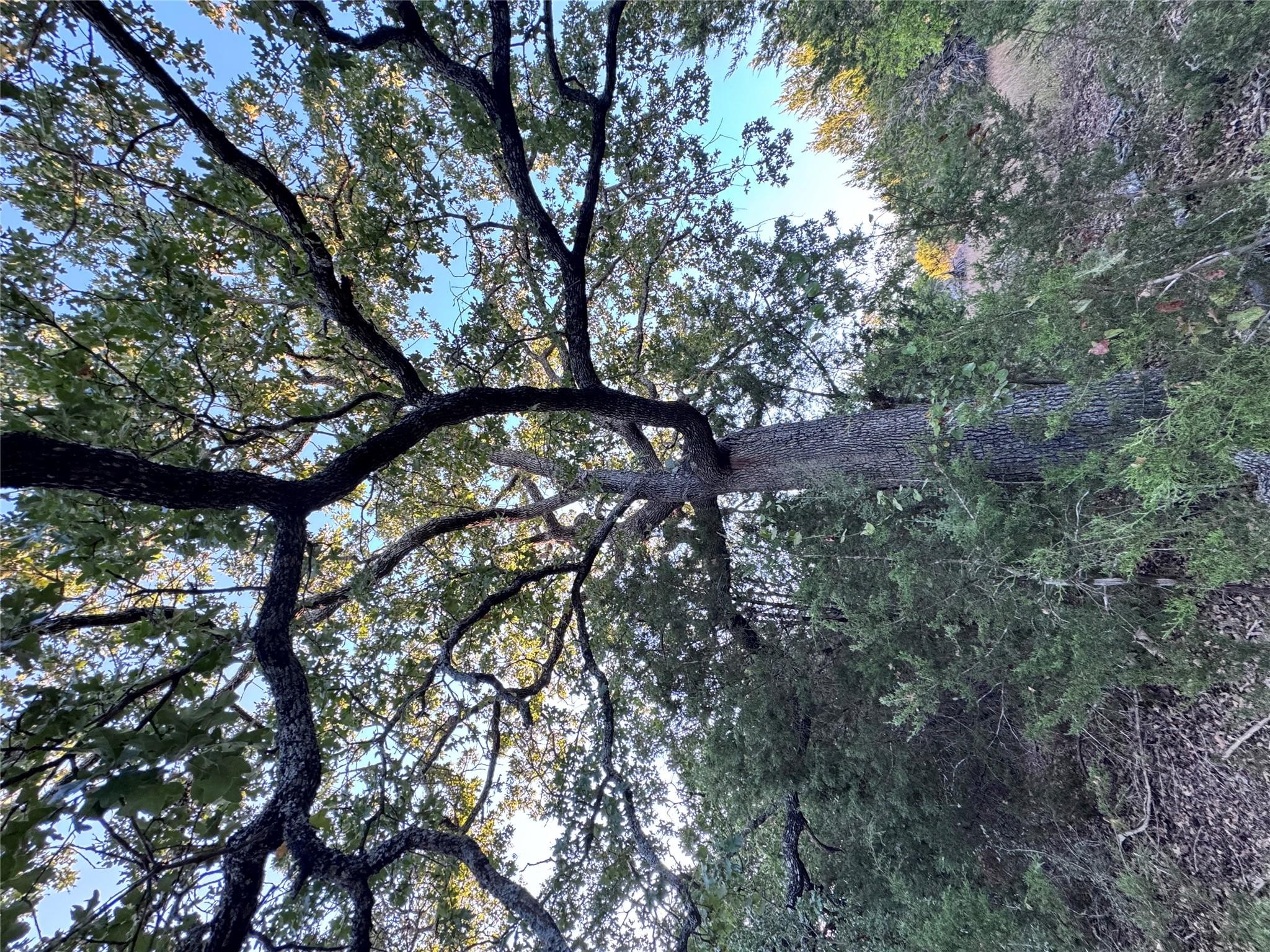 TBD Whisper Ln, Georgetown, TX 78628